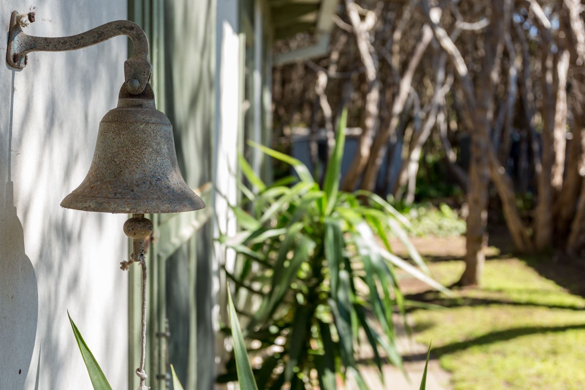 60 Michael Street, Rye VIC 3941, Rye - Thumbnail 4