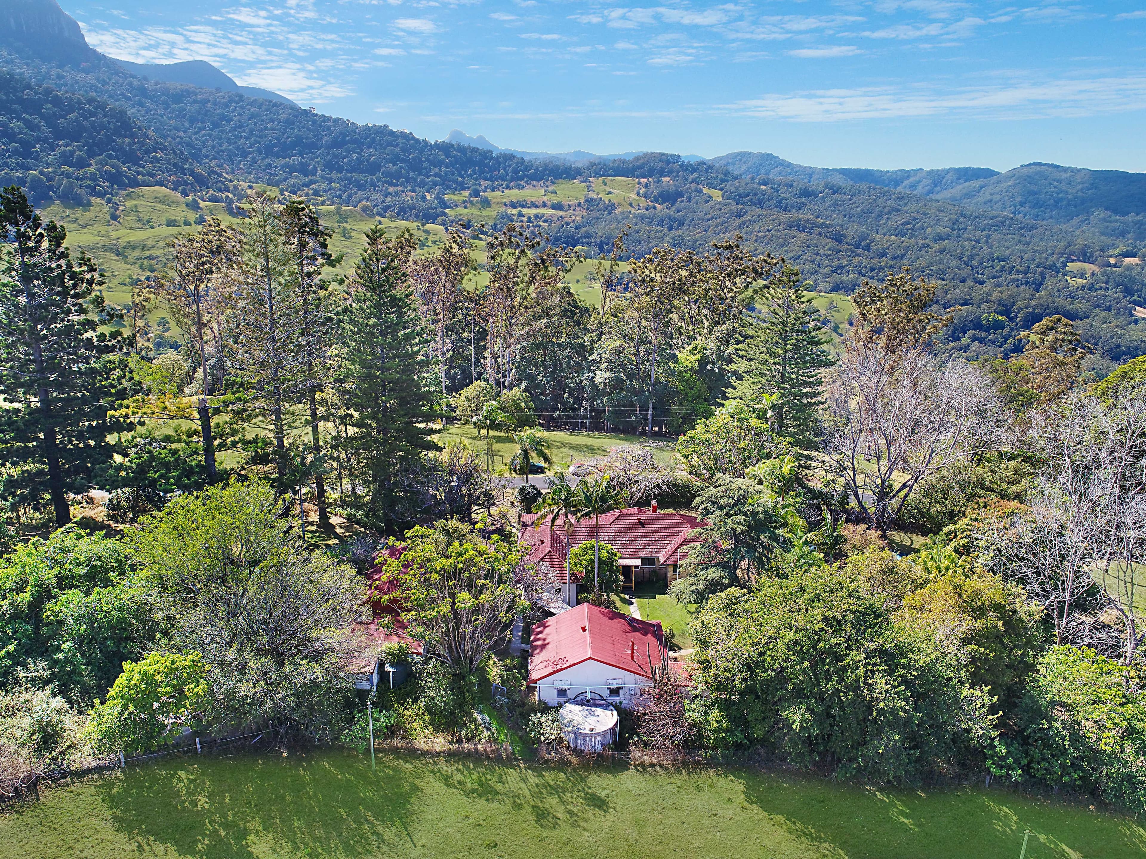 2363 Numinbah Road, Numinbah - Image 1