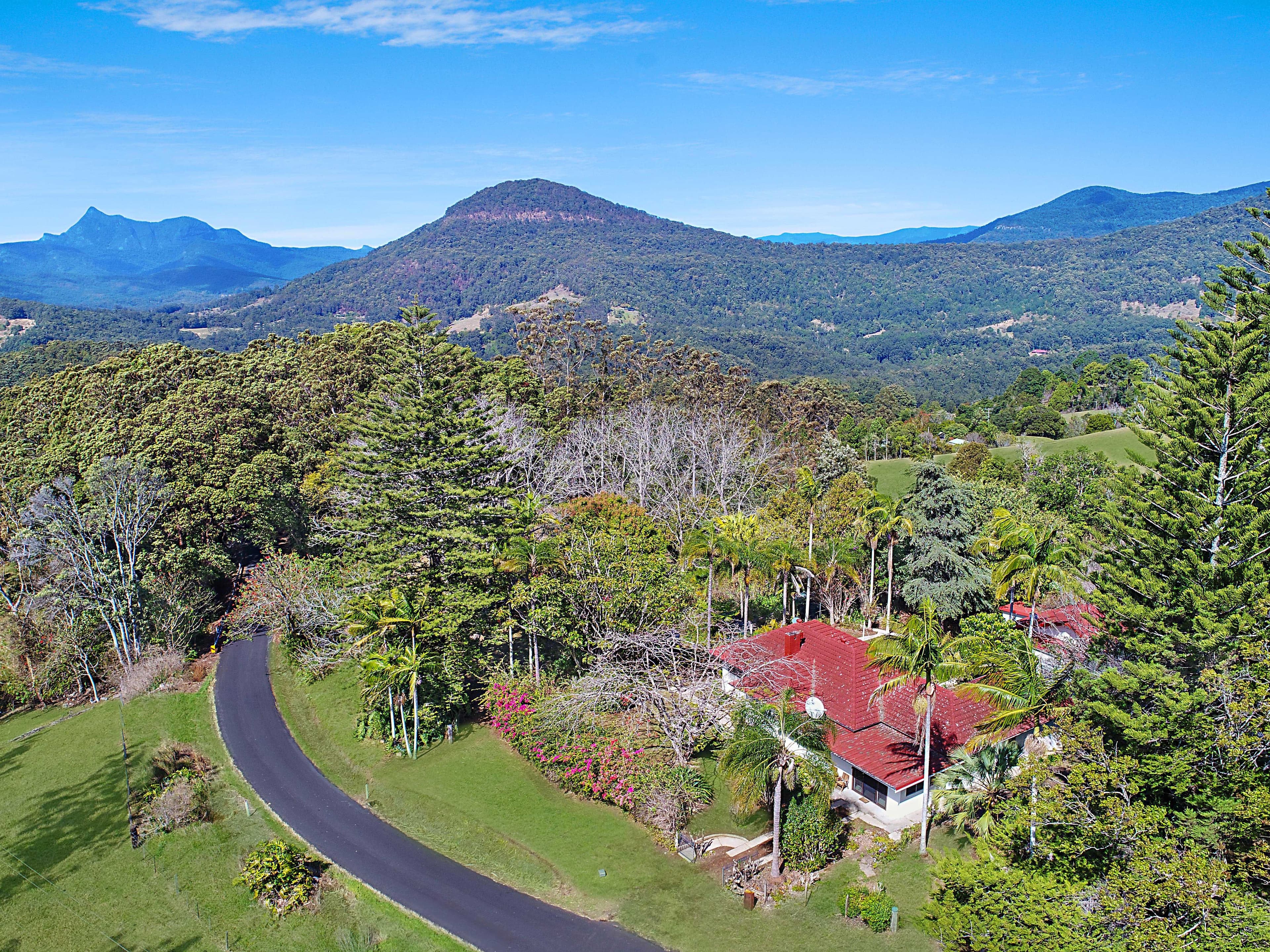 2363 Numinbah Road, Numinbah - Thumbnail 2