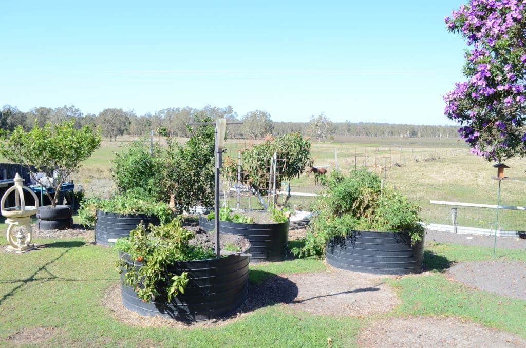 58 Jubilee Street, Townsend - Thumbnail 8