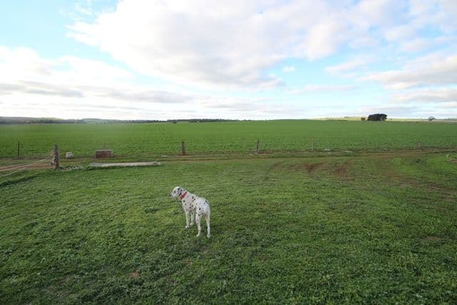 Lot 4 Marrabel Road, RIVERTON SA 5412, Riverton - Thumbnail 3