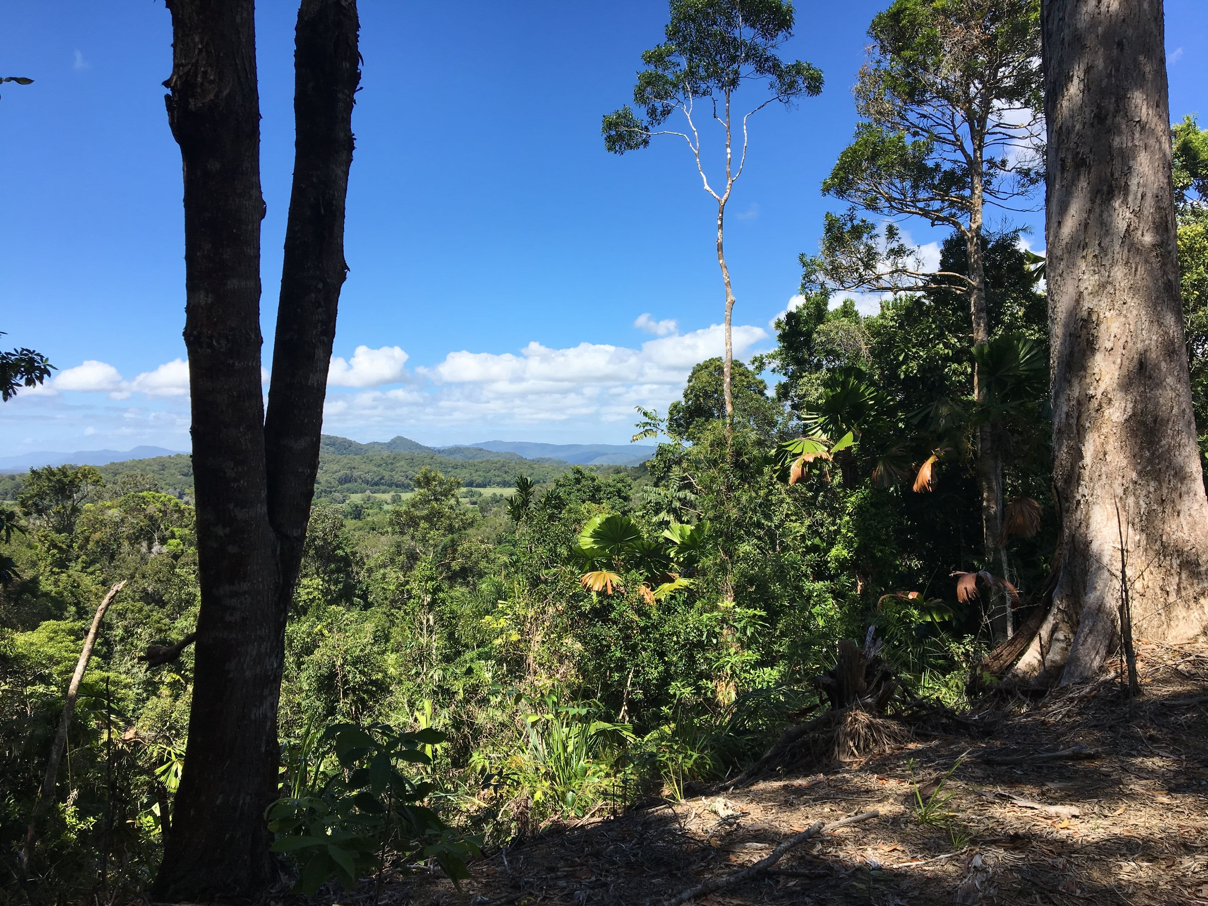 Lot 3 Kahana Road, Whyanbeel QLD 4873, Whyanbeel - Thumbnail 3