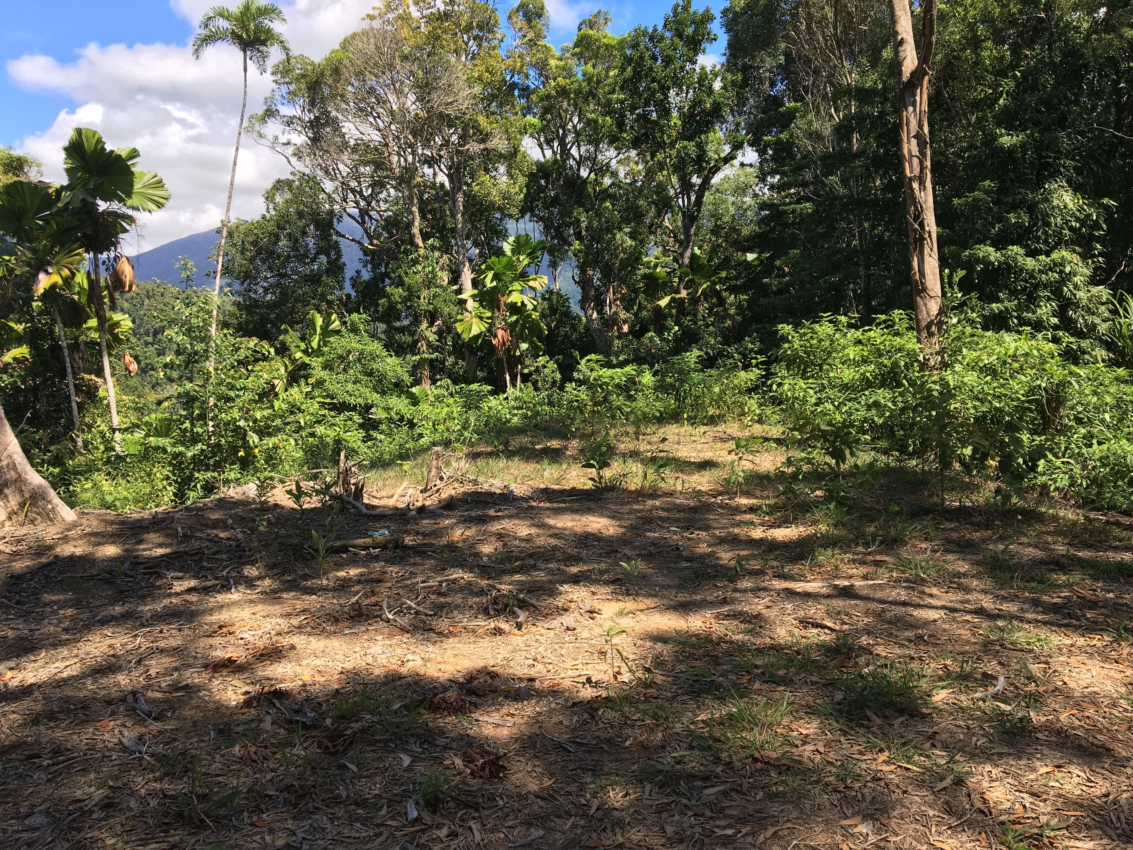 Lot 3 Kahana Road, Whyanbeel QLD 4873, Whyanbeel - Thumbnail 4
