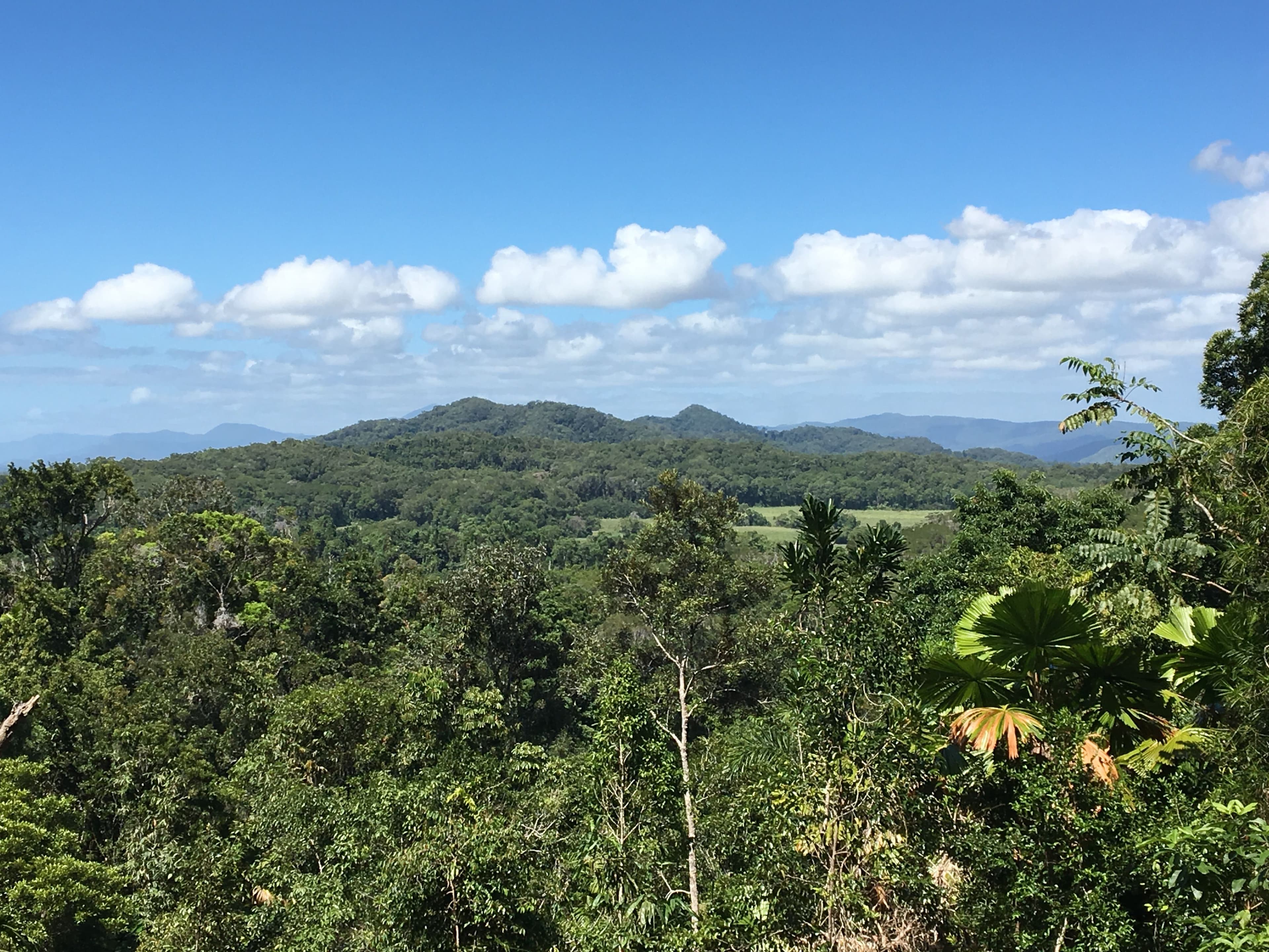 Lot 3 Kahana Road, Whyanbeel QLD 4873, Whyanbeel - Thumbnail 5