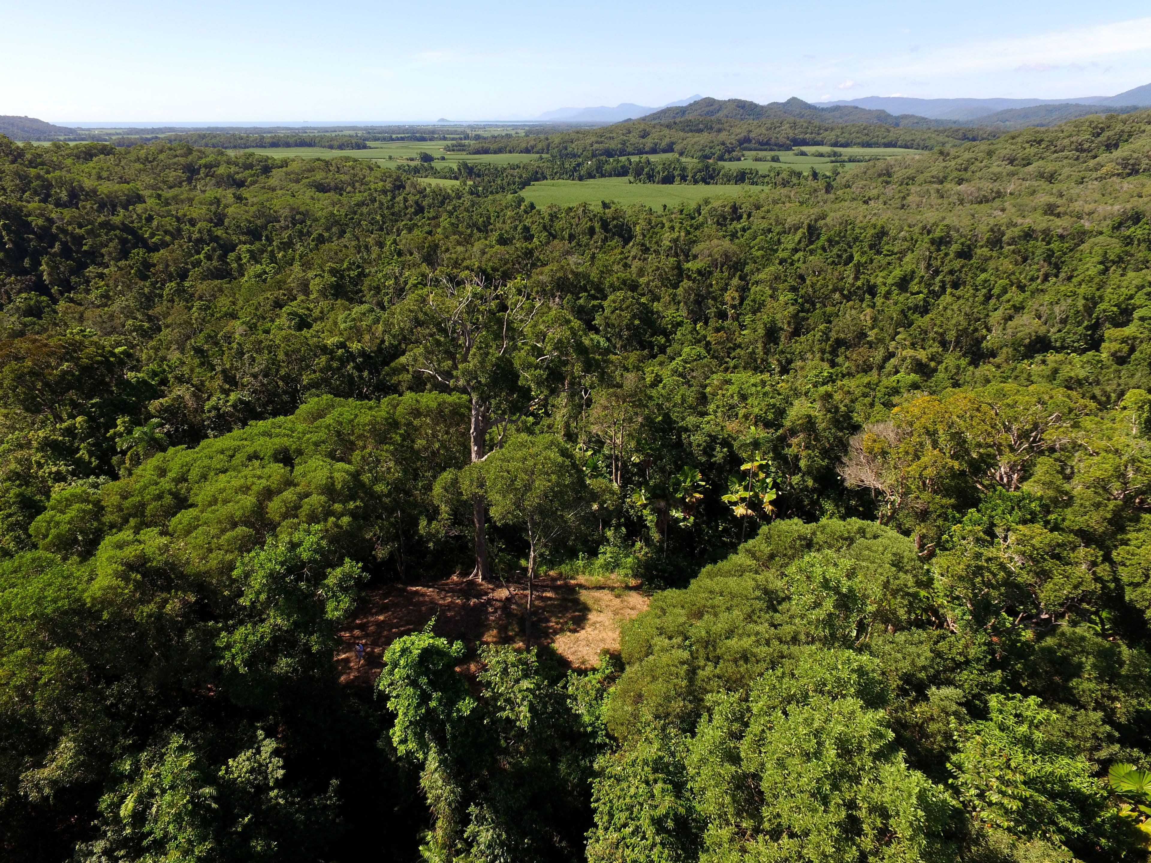 Lot 3 Kahana Road, Whyanbeel QLD 4873, Whyanbeel - Thumbnail 8