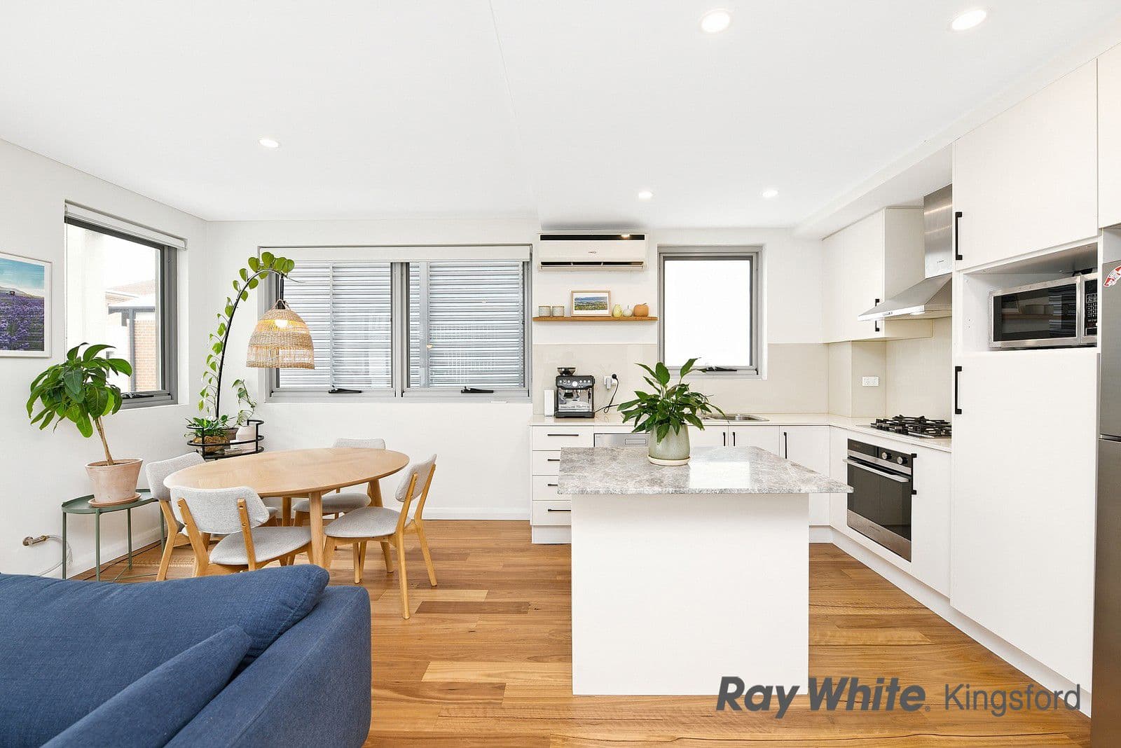 18-20 Houston Road, Kensington NSW 2033, Kensington - Thumbnail 2