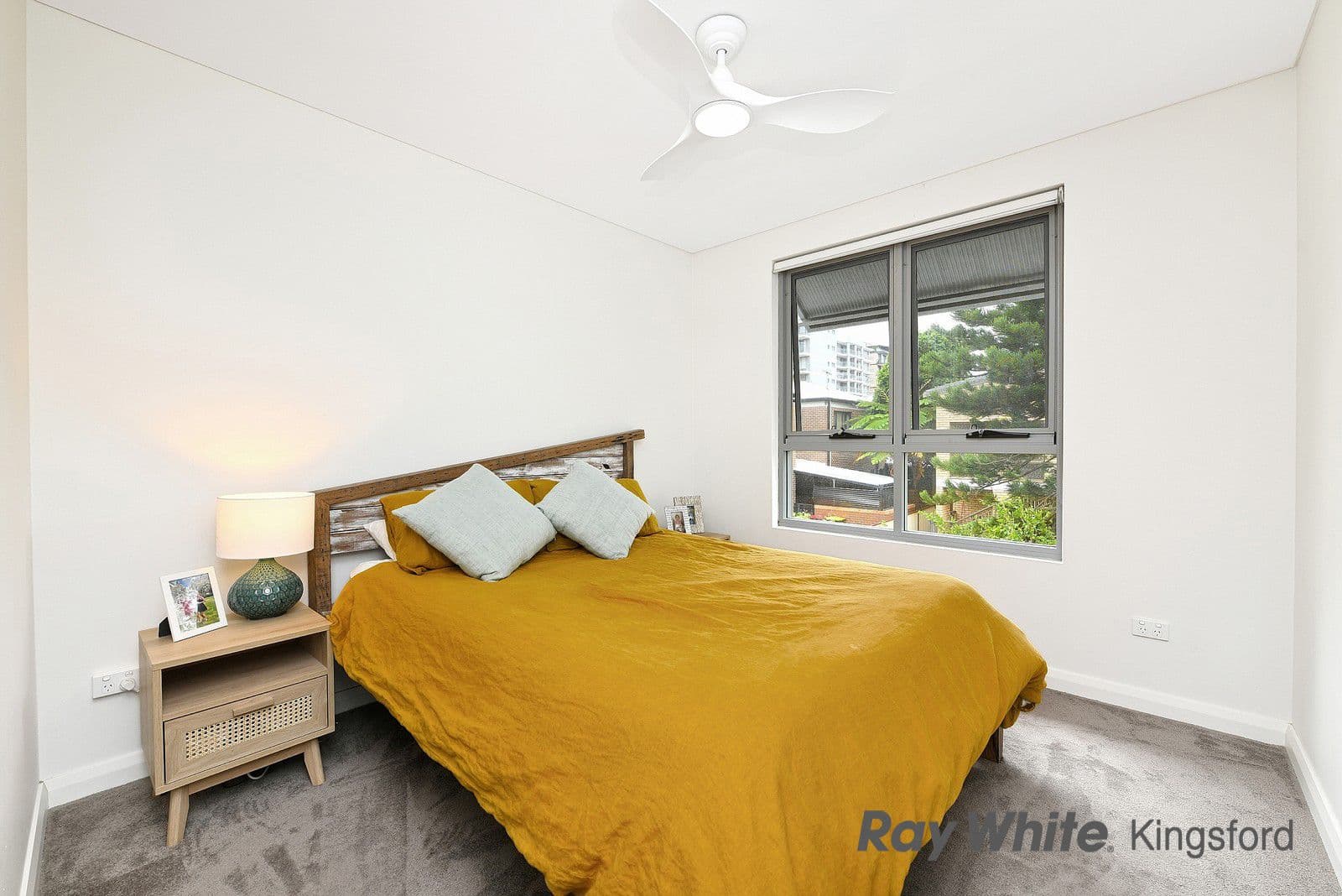 18-20 Houston Road, Kensington NSW 2033, Kensington - Thumbnail 5