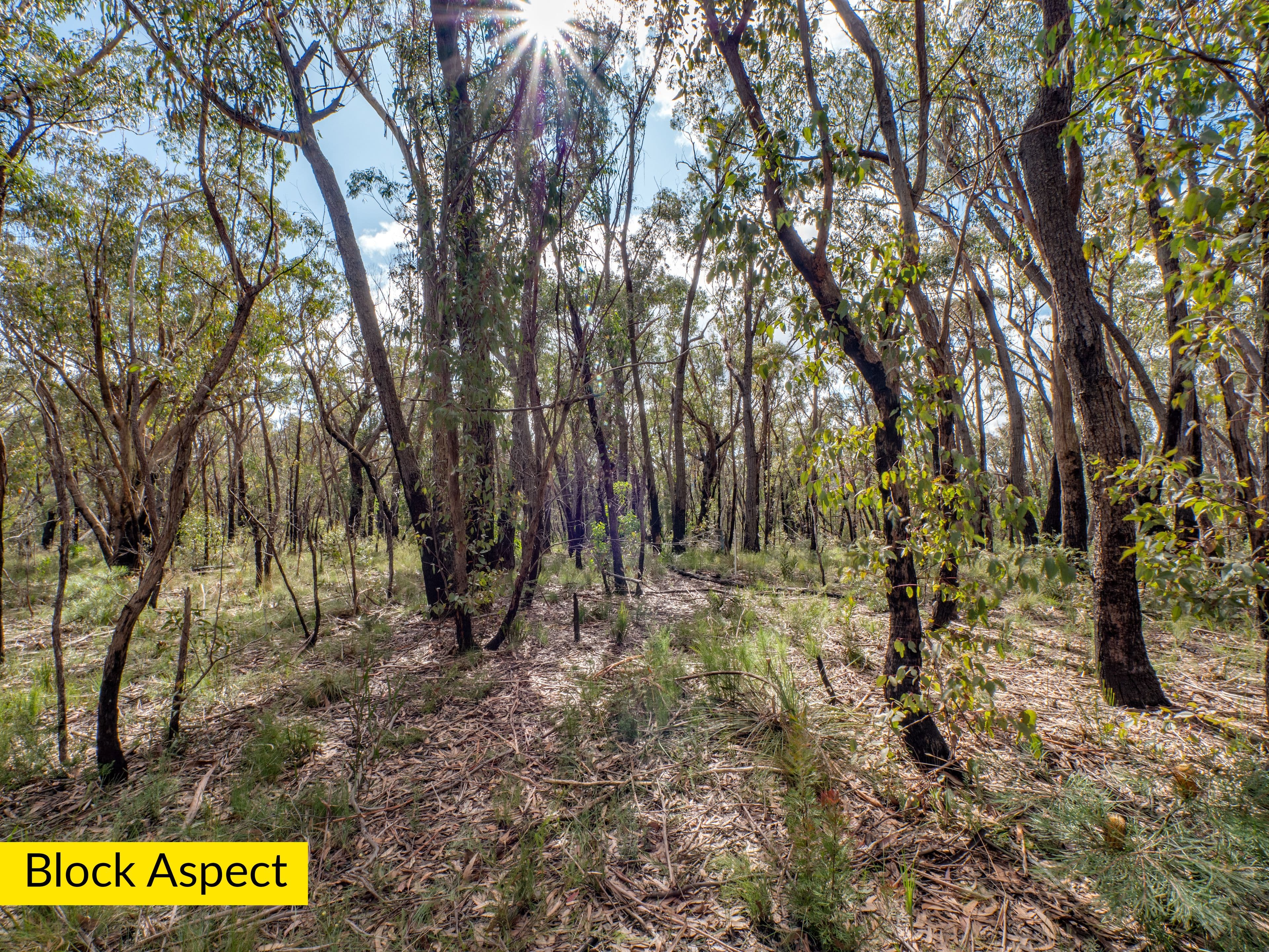 16-18 Benson Road, Mount Victoria NSW 2786, Mount Victoria - Thumbnail 6