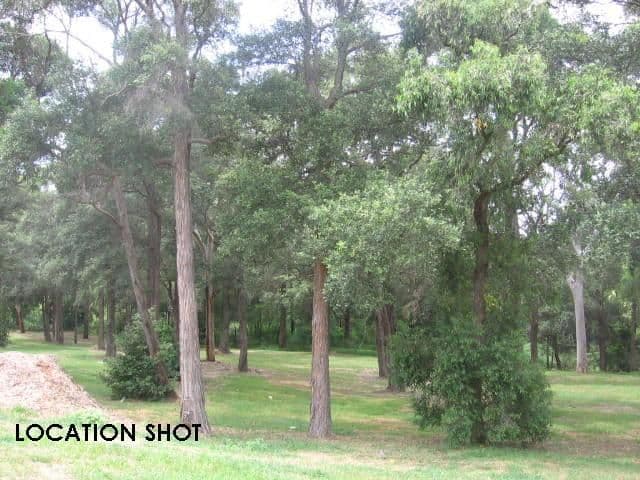 6 Ronald Avenue, DUNDAS NSW 2117, Dundas - Thumbnail 4