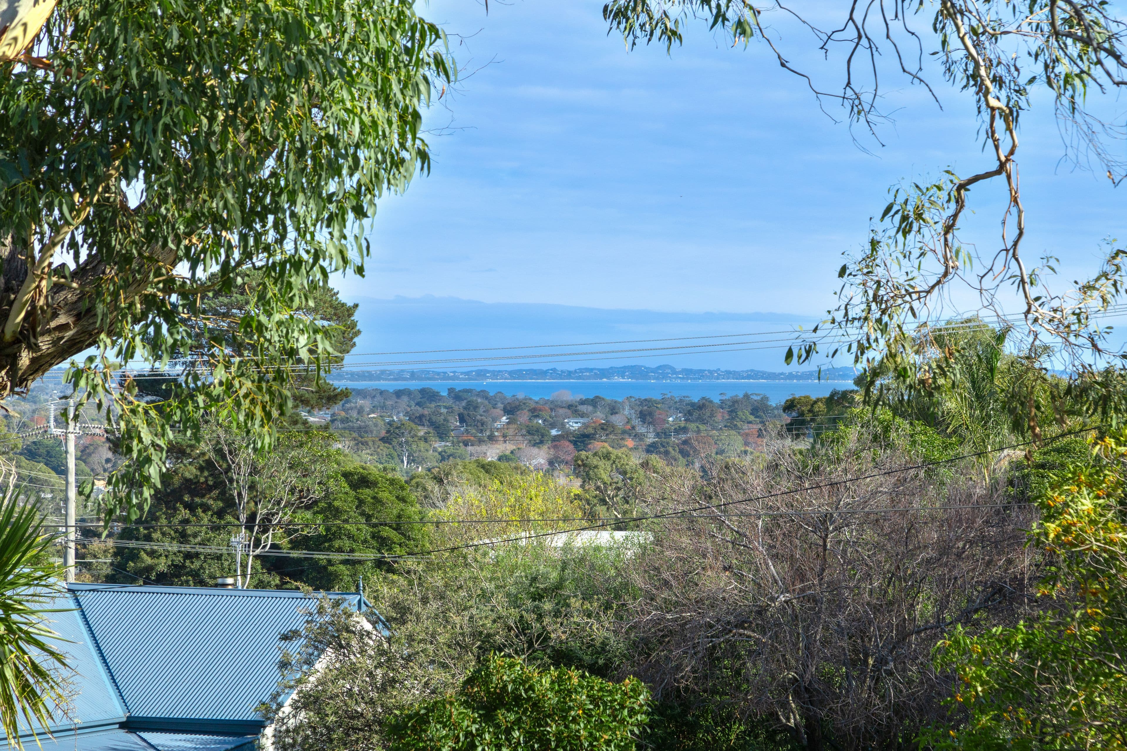 7 Austin Avenue, McCrae VIC 3938, McCrae - Thumbnail 3
