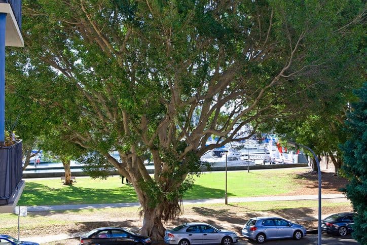 22 New Beach Road, DARLING POINT NSW 2027, Darling Point - Image 1