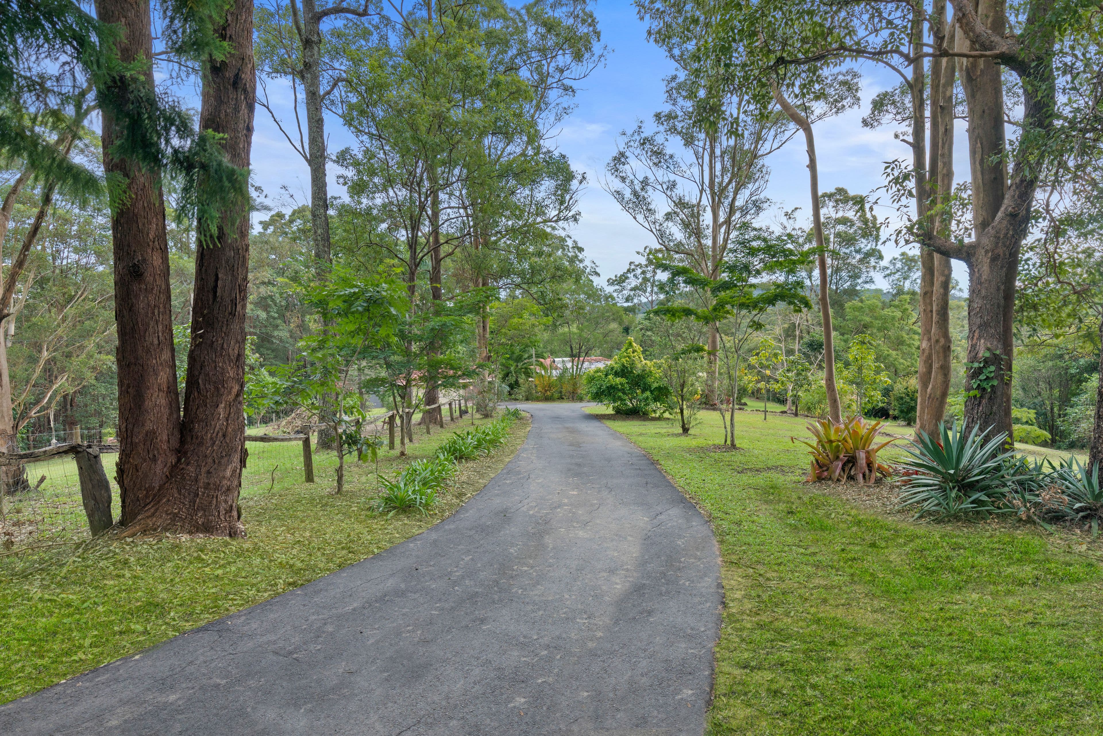 109 Eudlo Road, Mooloolah Valley QLD 4553, Mooloolah Valley - Thumbnail 2