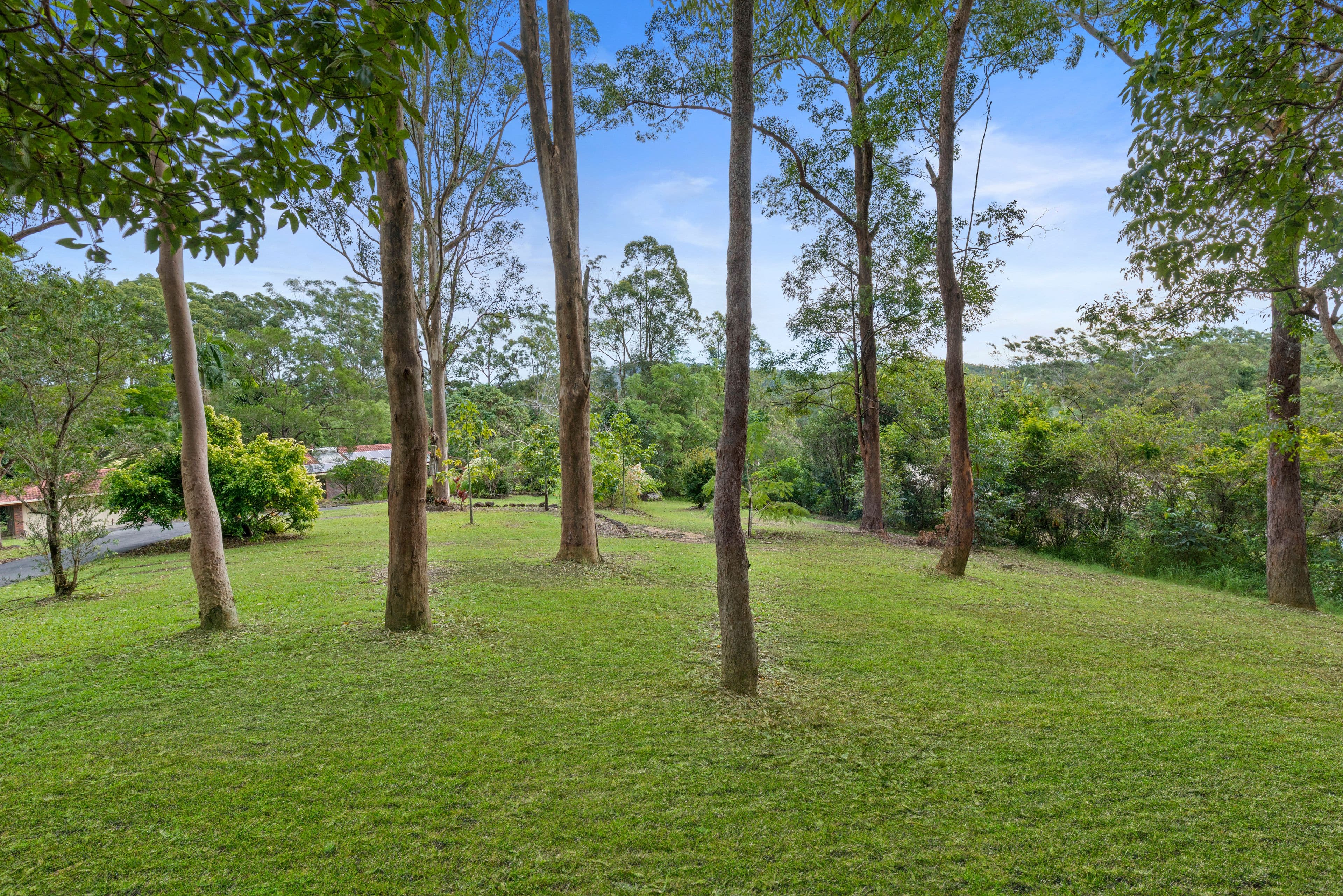 109 Eudlo Road, Mooloolah Valley QLD 4553, Mooloolah Valley - Thumbnail 5