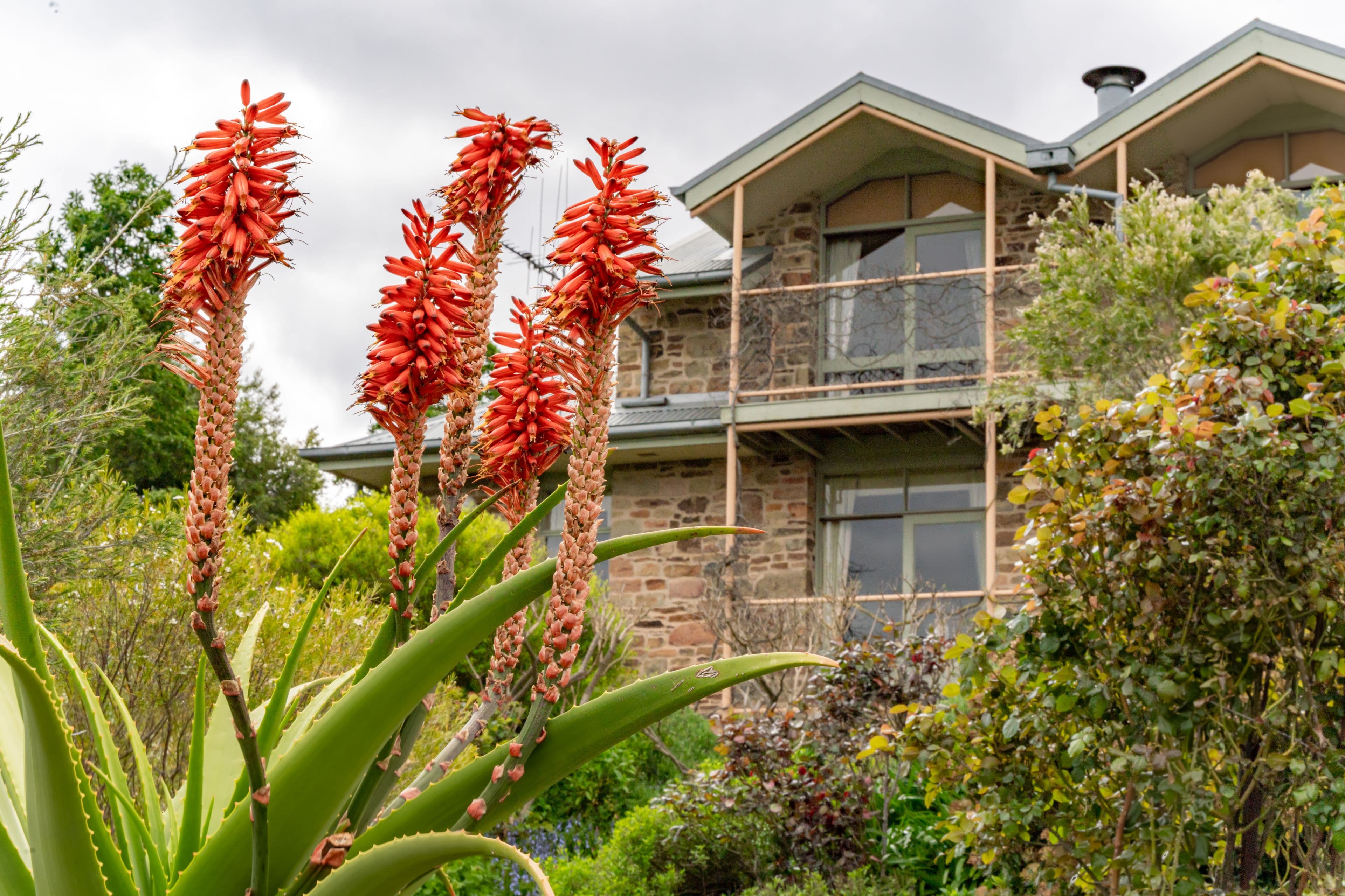 9 Ruth Street, Golden Square VIC 3555, Golden Square - Thumbnail 3