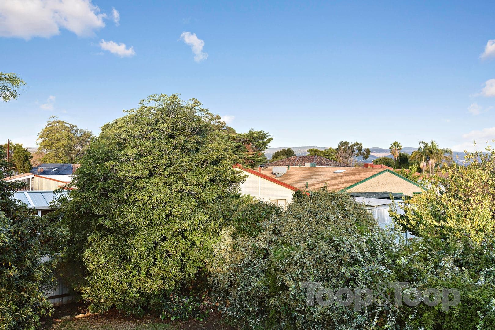 24 Willow Avenue, Manningham SA 5086, Manningham - Thumbnail 8
