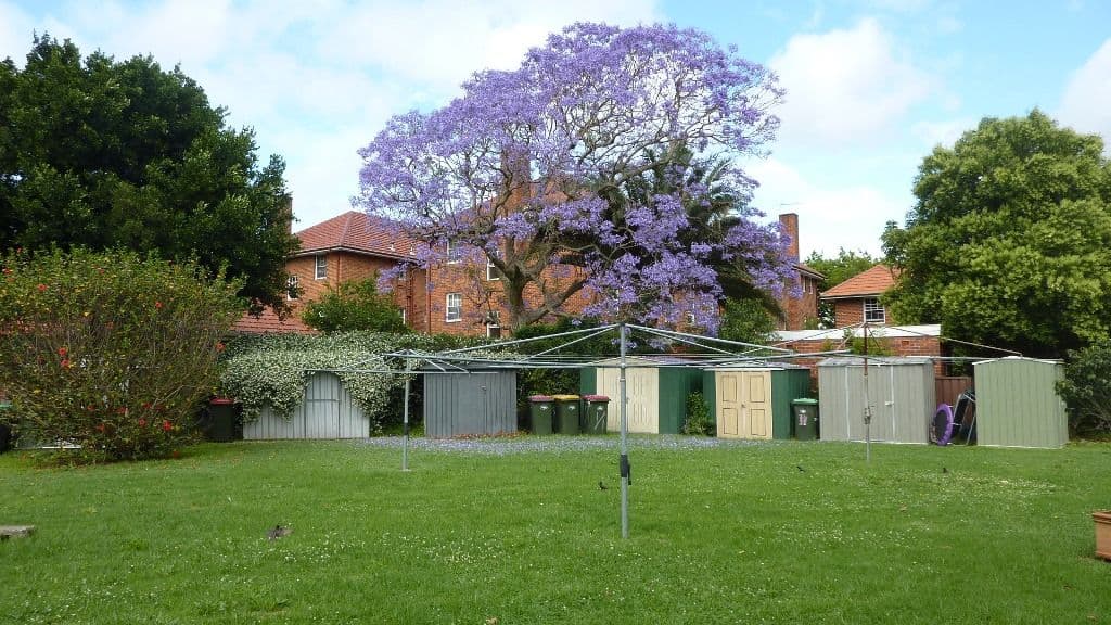 13 Todman Avenue, KENSINGTON NSW 2033, Kensington - Thumbnail 4