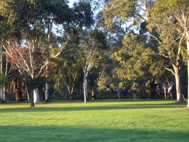 16 Catherine Avenue, Flinders Park SA 5025, Flinders Park - Thumbnail 4