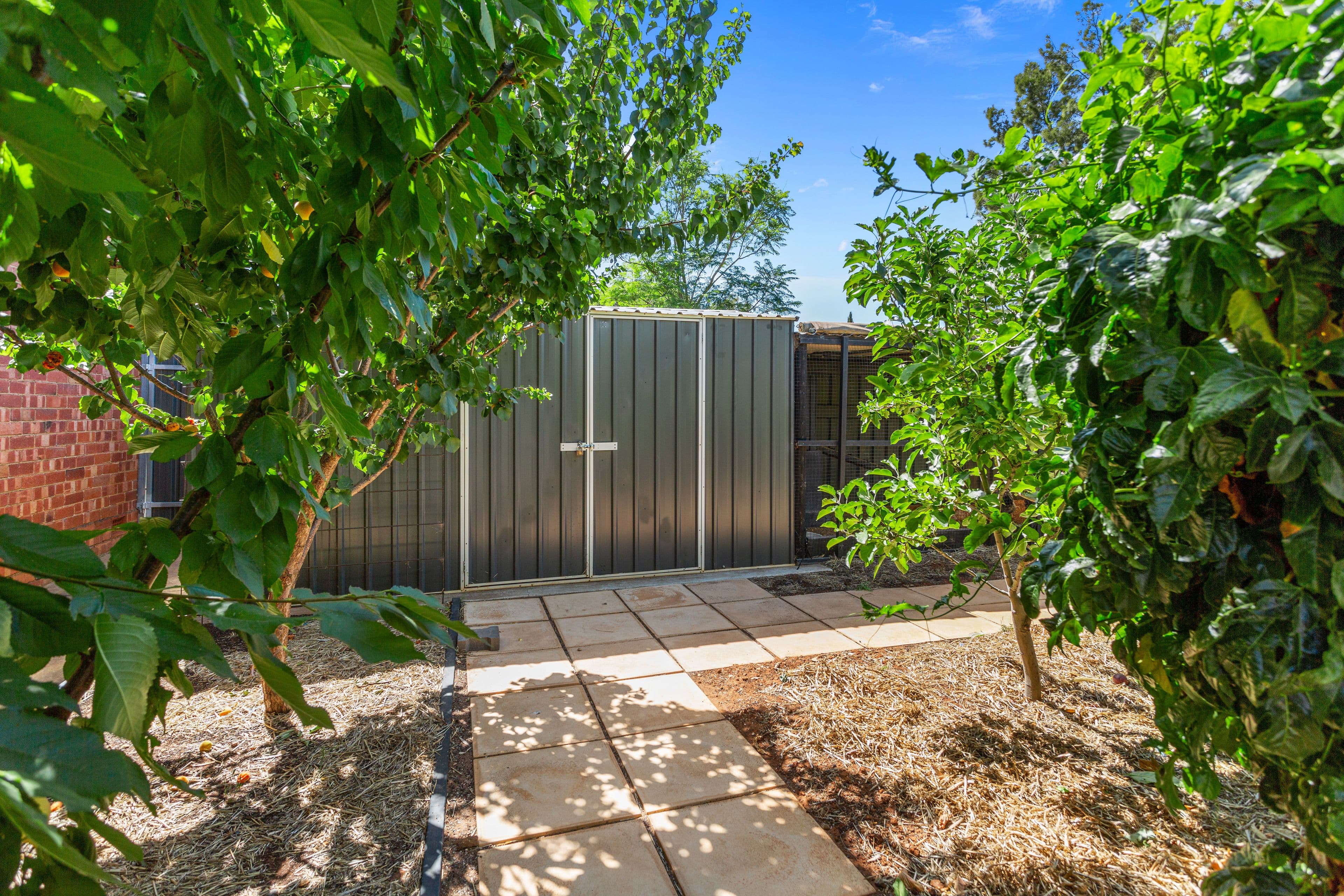 38 Wilkins Road, Elizabeth Downs SA 5113, Elizabeth Downs - Thumbnail 8