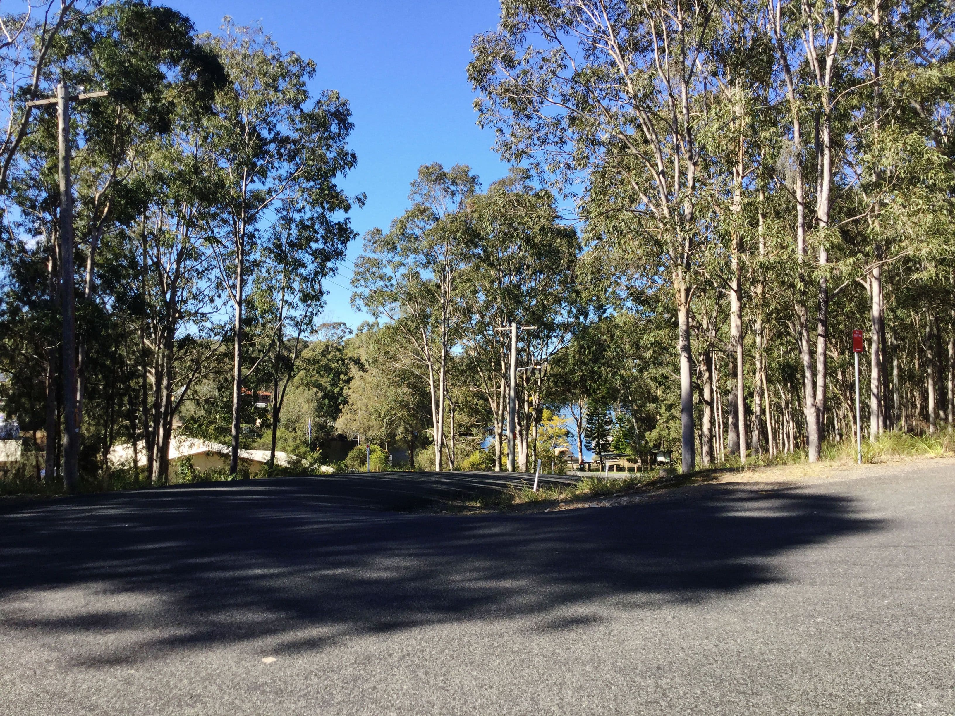 49 Whimbrel Drive, Nerong NSW 2423, Nerong - Thumbnail 2