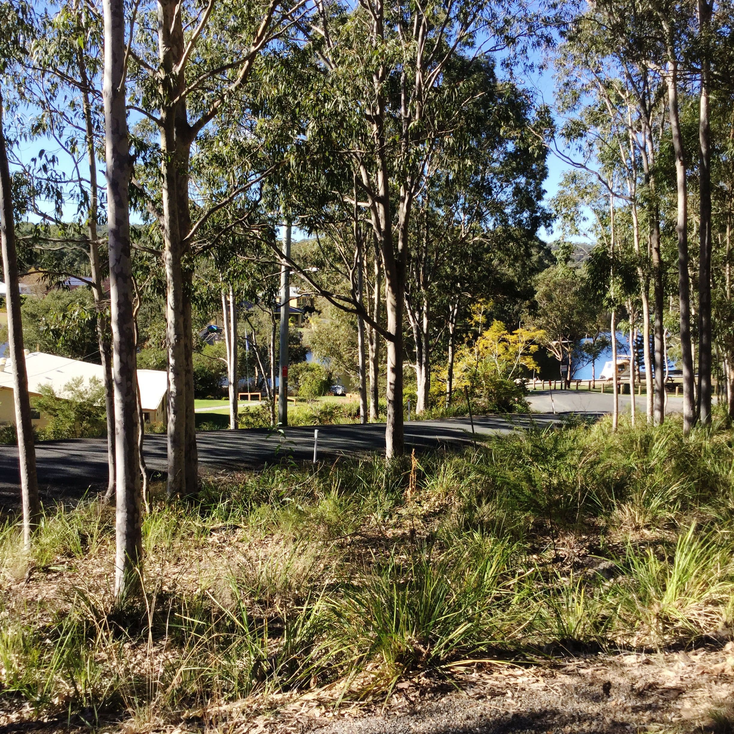 49 Whimbrel Drive, Nerong NSW 2423, Nerong - Thumbnail 3