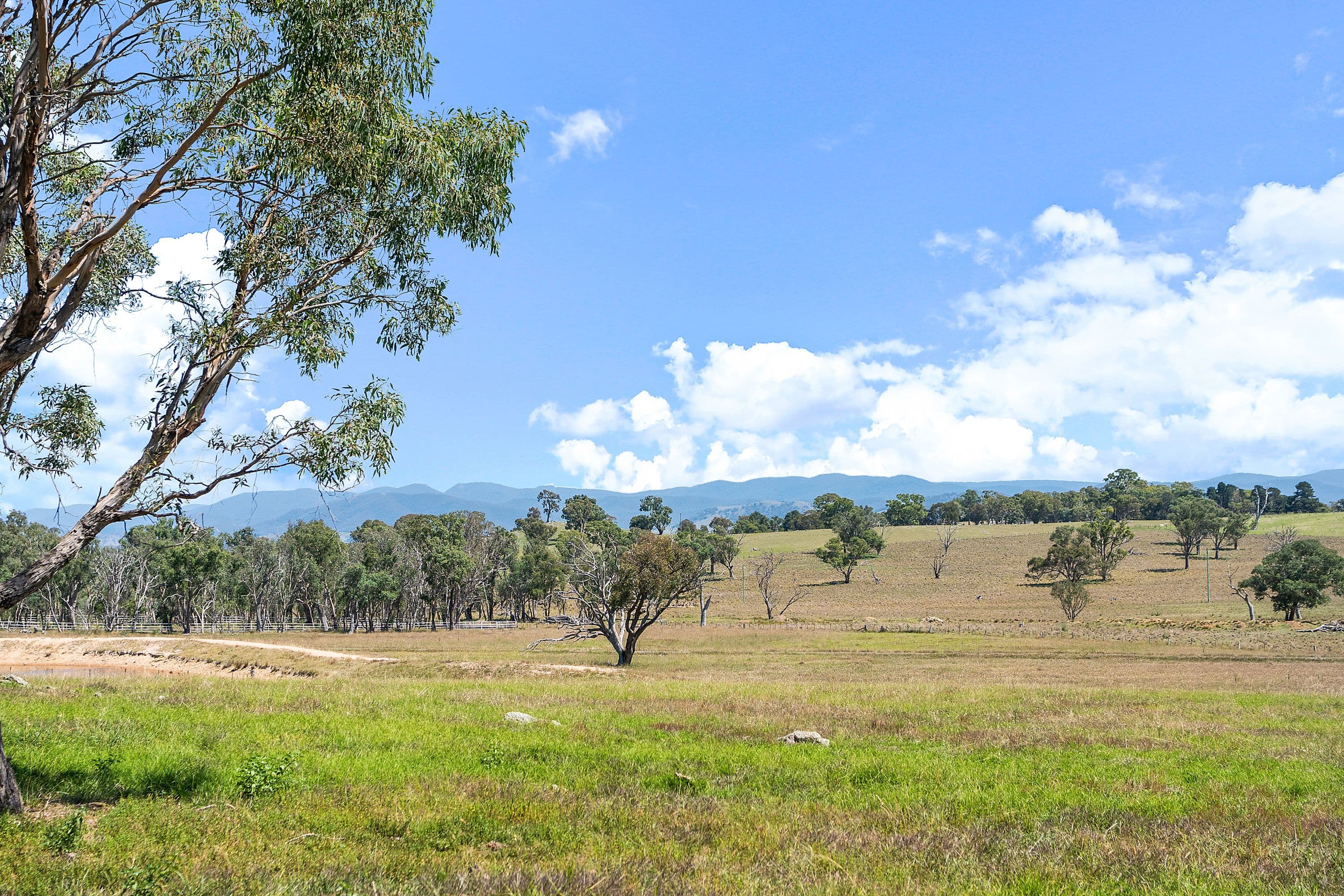 341 Kaveneys Road, Jeir NSW 2582, Jeir - Thumbnail 3
