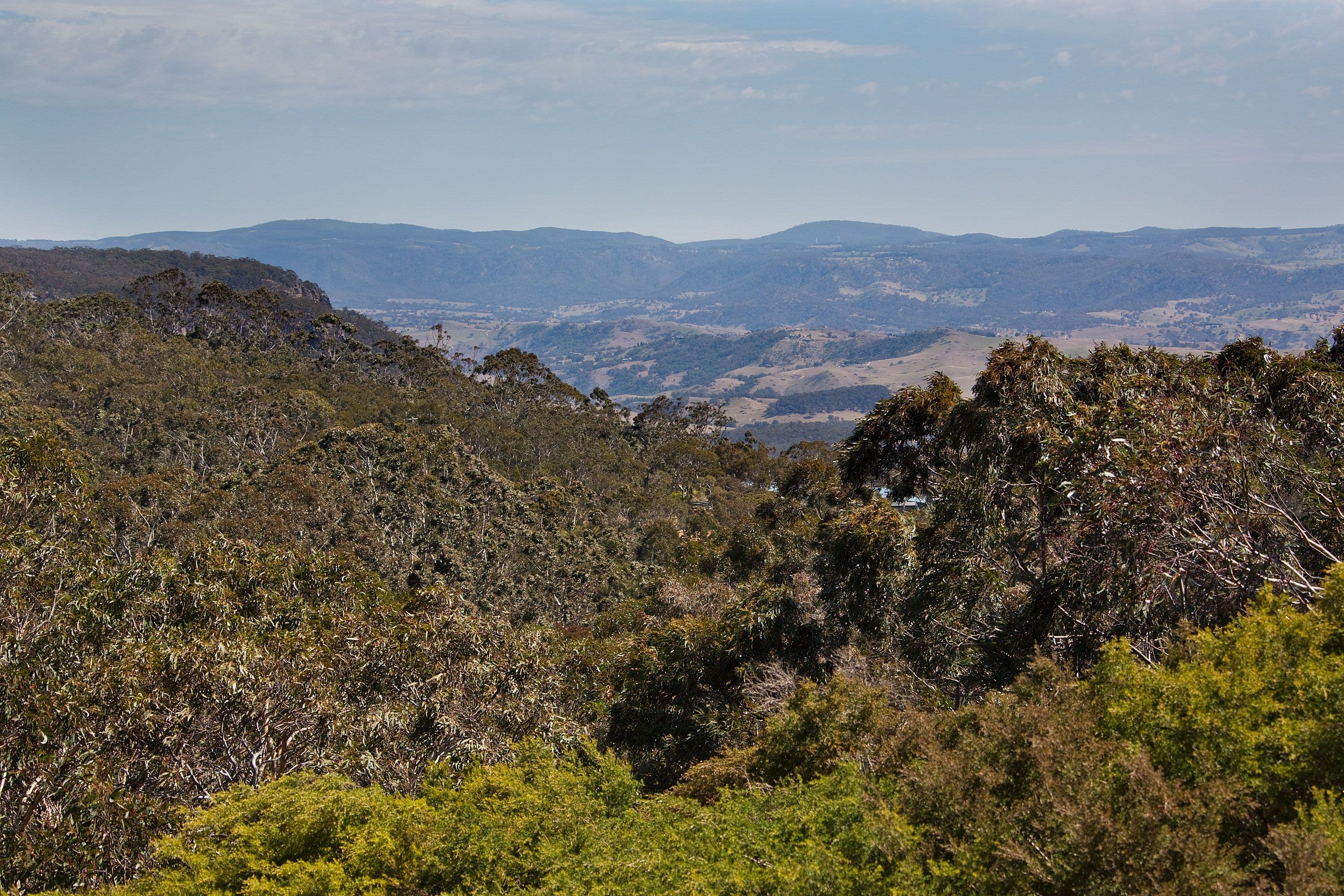 165 Ormond Road, Hampton Park, Hampton Park - Thumbnail 3