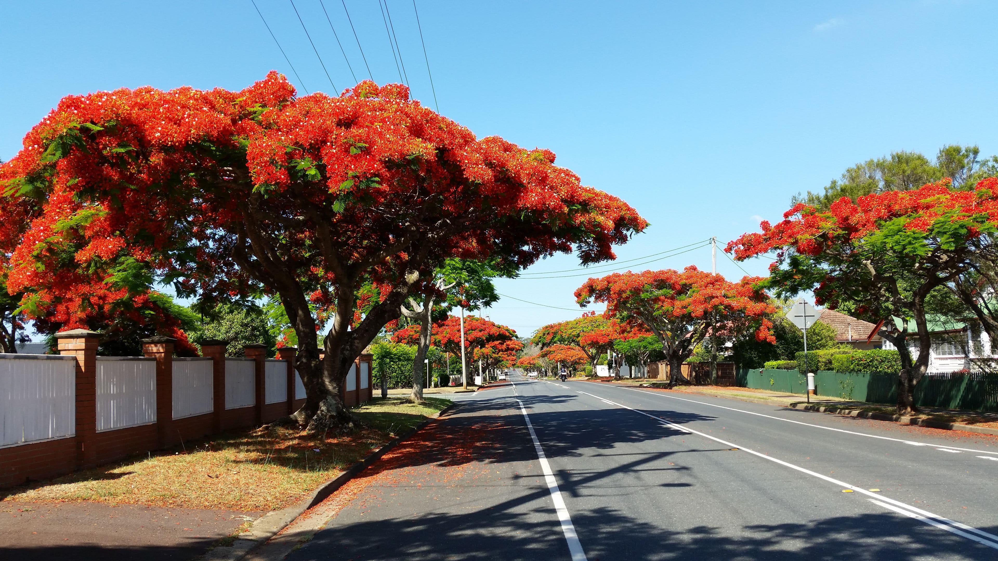255 Colburn Avenue, Victoria Point QLD 4165, Victoria Point - Thumbnail 2