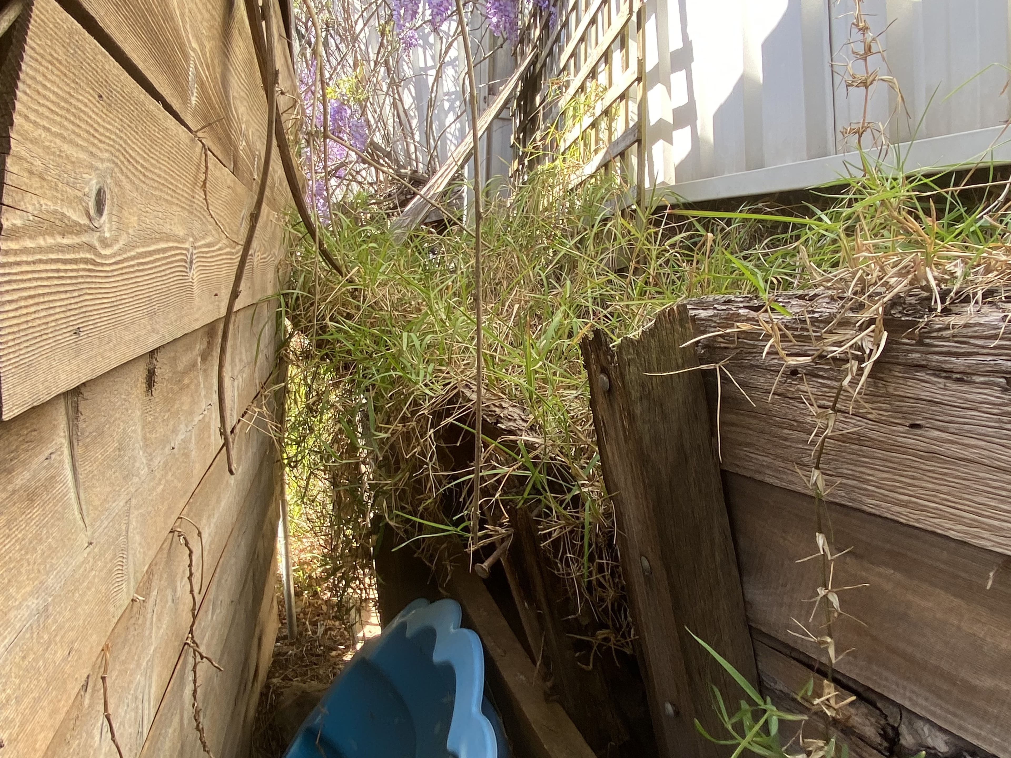 28 Benbury Street, Quakers Hill NSW 2763, Quakers Hill - Thumbnail 3