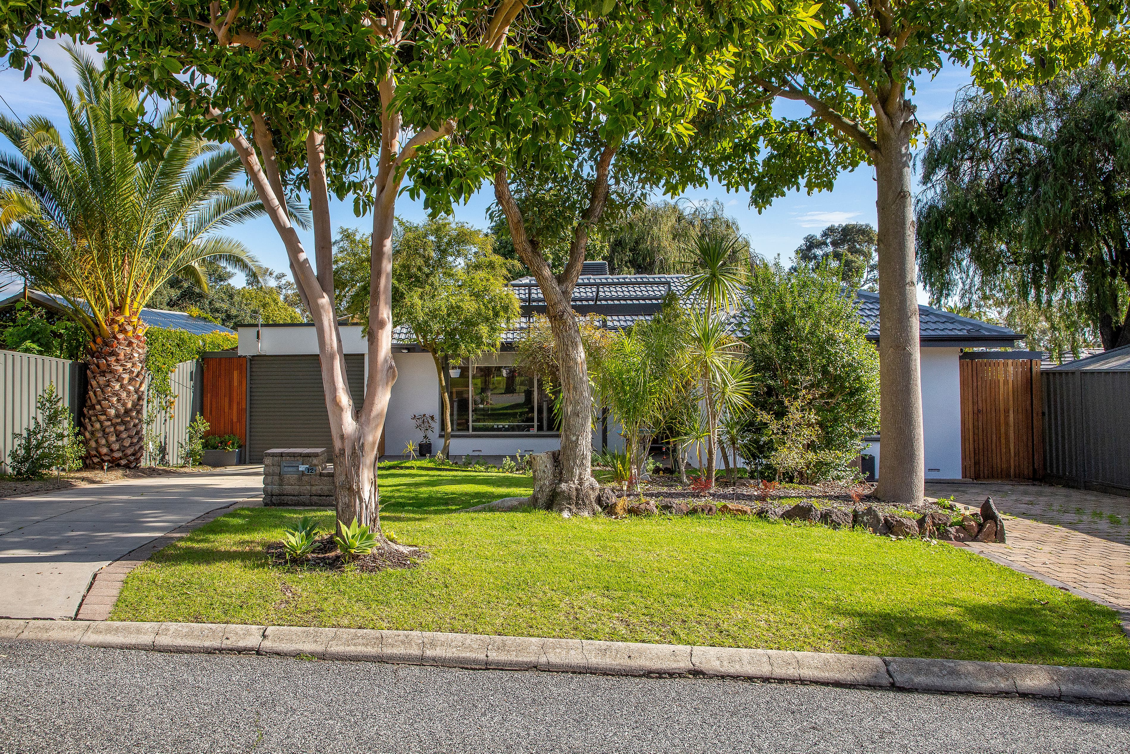 12 Arrow Avenue, Banksia Park SA 5091, Banksia Park - Thumbnail 2