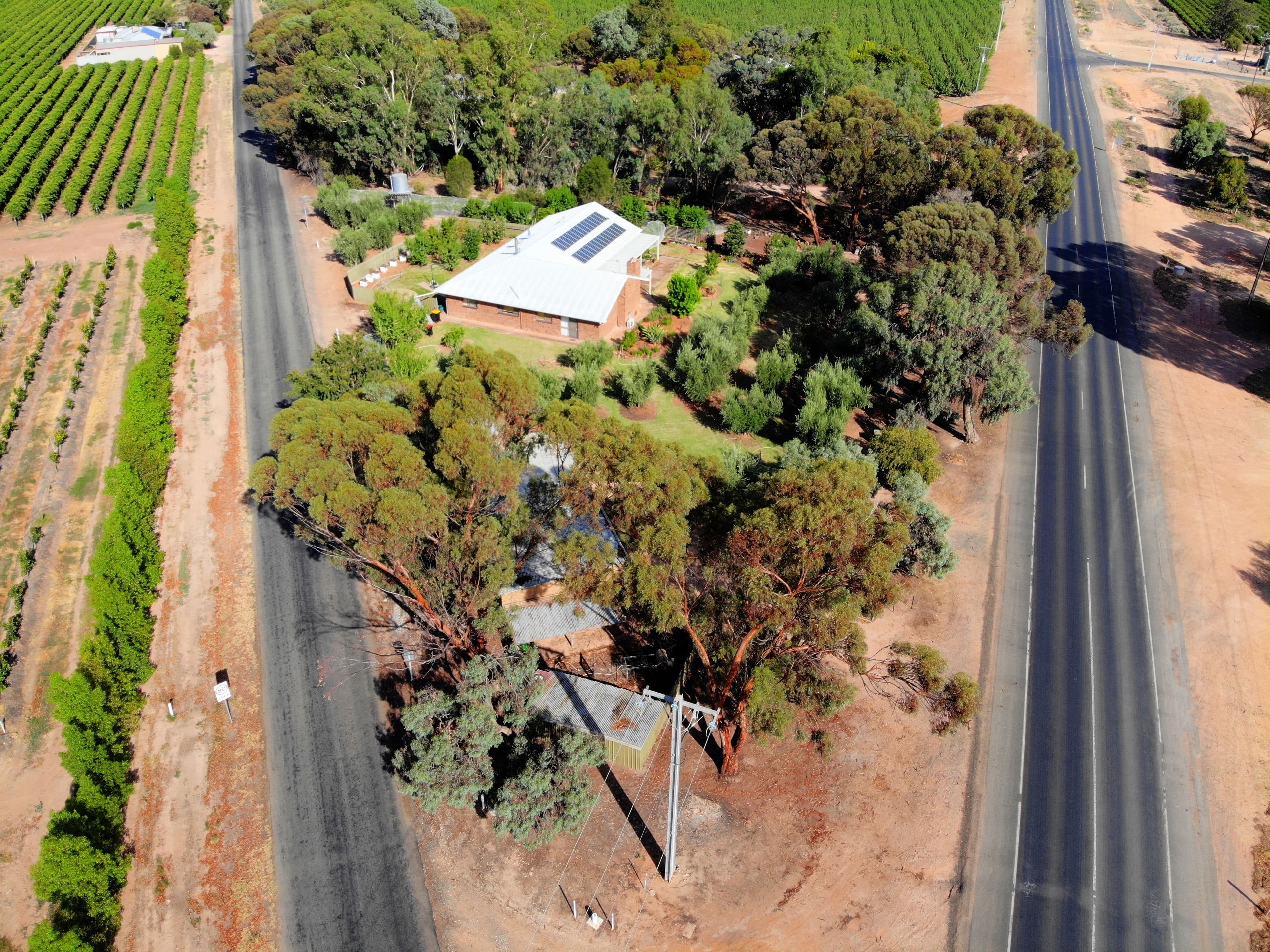 379 Ral Ral Avenue, Renmark SA 5341, Renmark West - Thumbnail 2