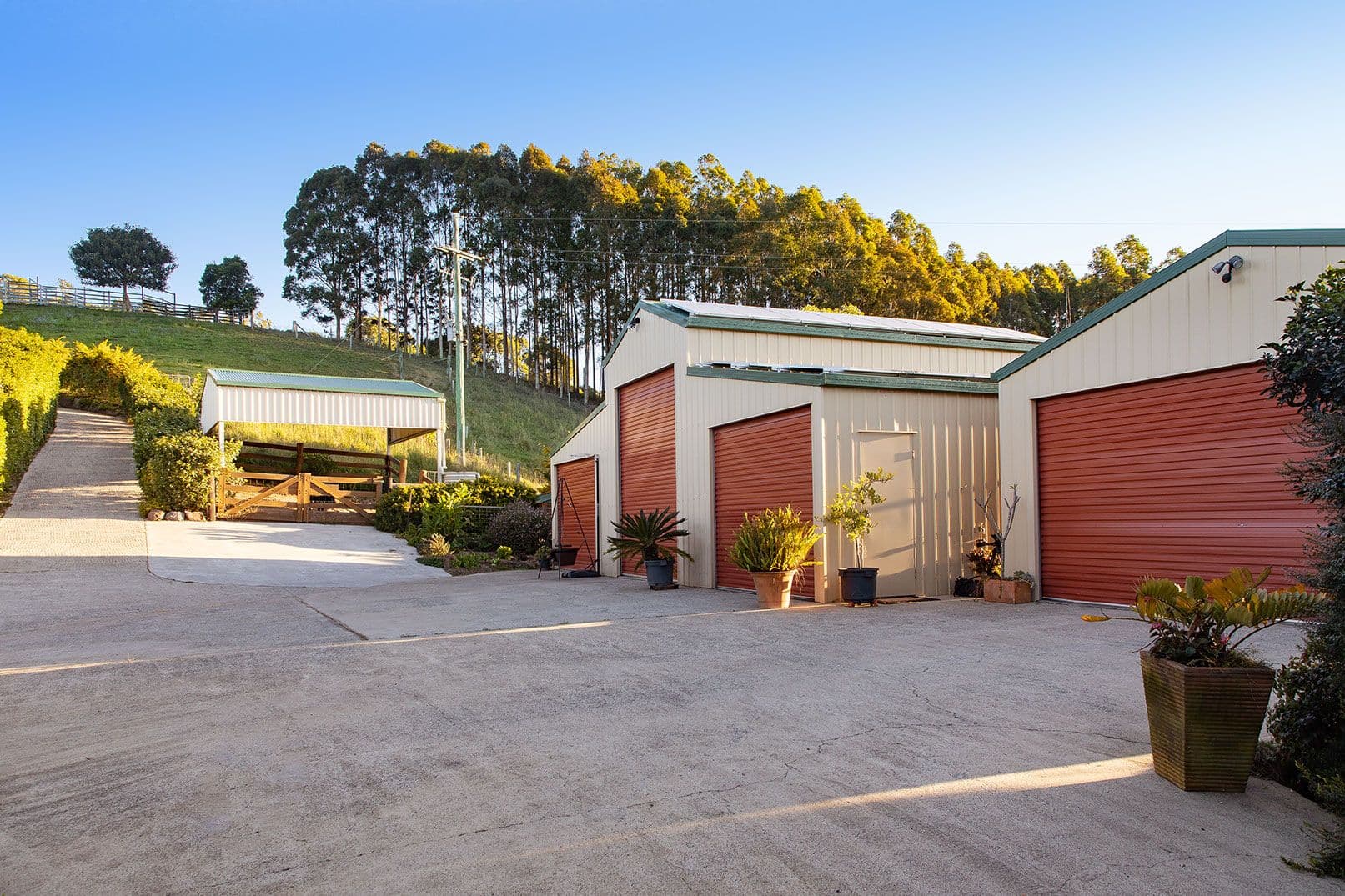 Ridgewood QLD 4563, Ridgewood - Thumbnail 4