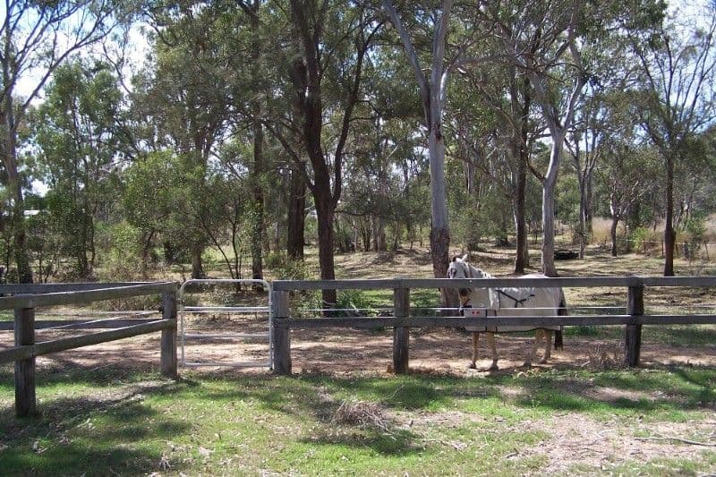 64 Law Road, WARWICK QLD 4370, Warwick - Thumbnail 3