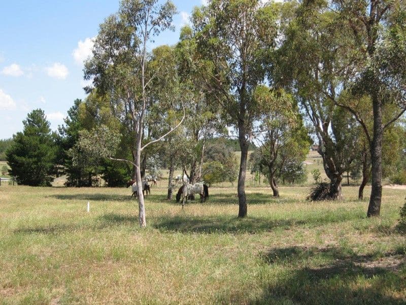 93 Macs Reef Road, BYWONG NSW 2621, Bywong - Thumbnail 2