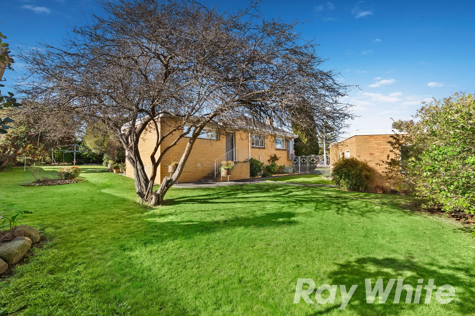 7 Graham Court, Macleod VIC 3085, Macleod - Thumbnail 3