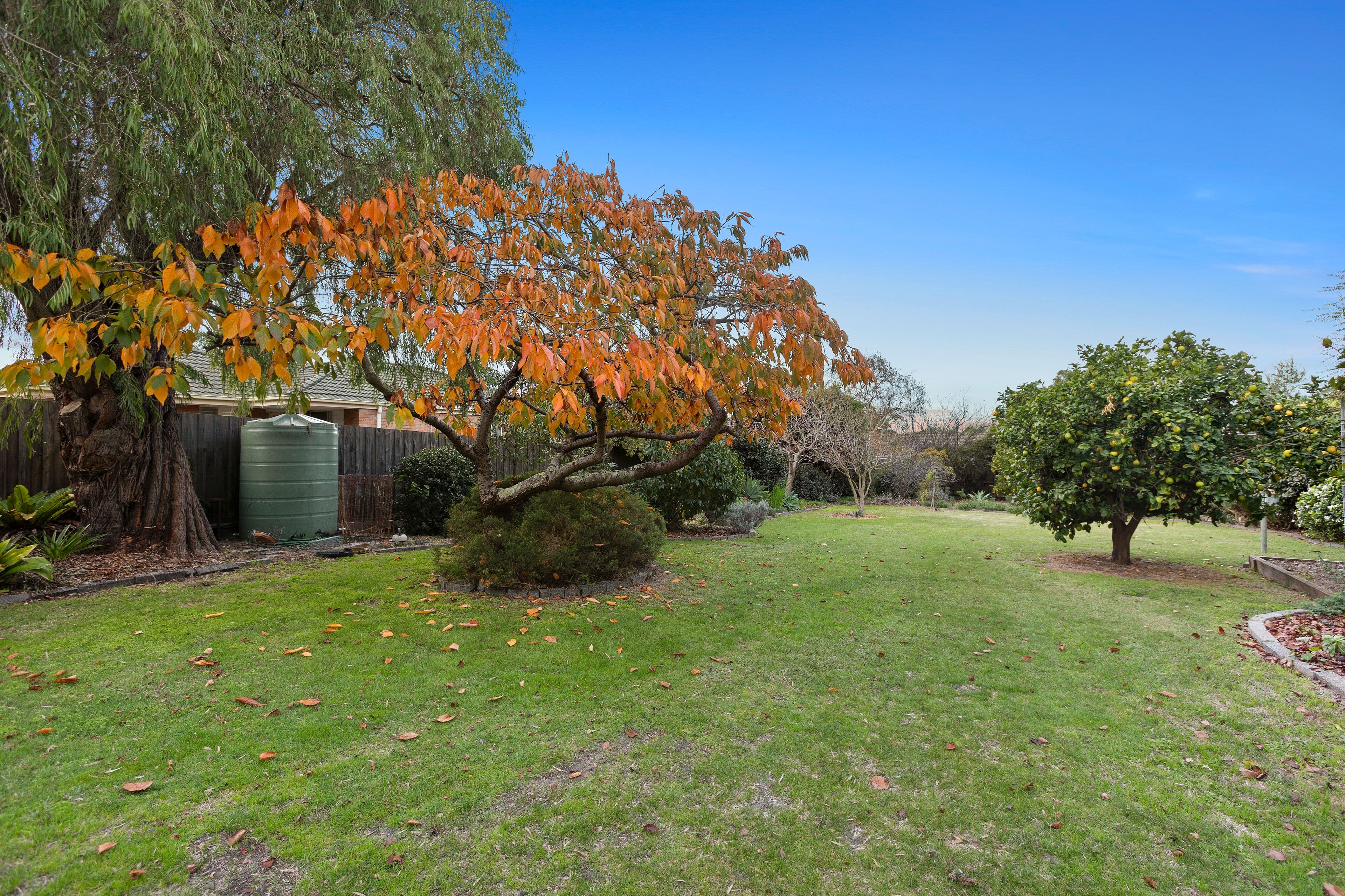 33 Tennyson Street, Highett VIC 3190, Highett - Thumbnail 5