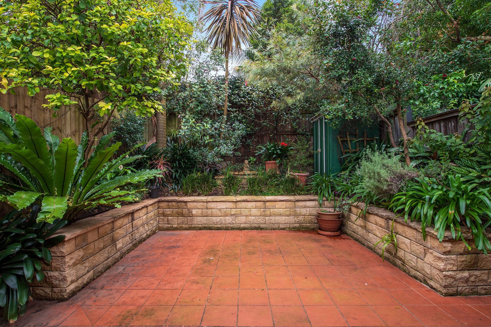7 Commercial Road, Lilyfield NSW 2040, Lilyfield - Thumbnail 7