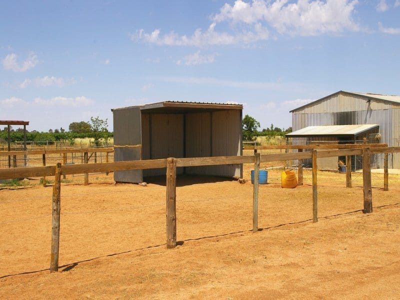 74 Arumpo Street, RENMARK SA 5341, Renmark West - Thumbnail 6