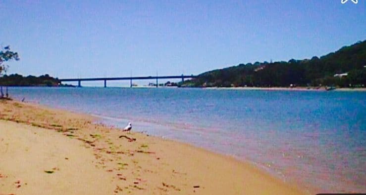 12-14 Thrower Drive, Currumbin QLD 4223, Currumbin - Thumbnail 8