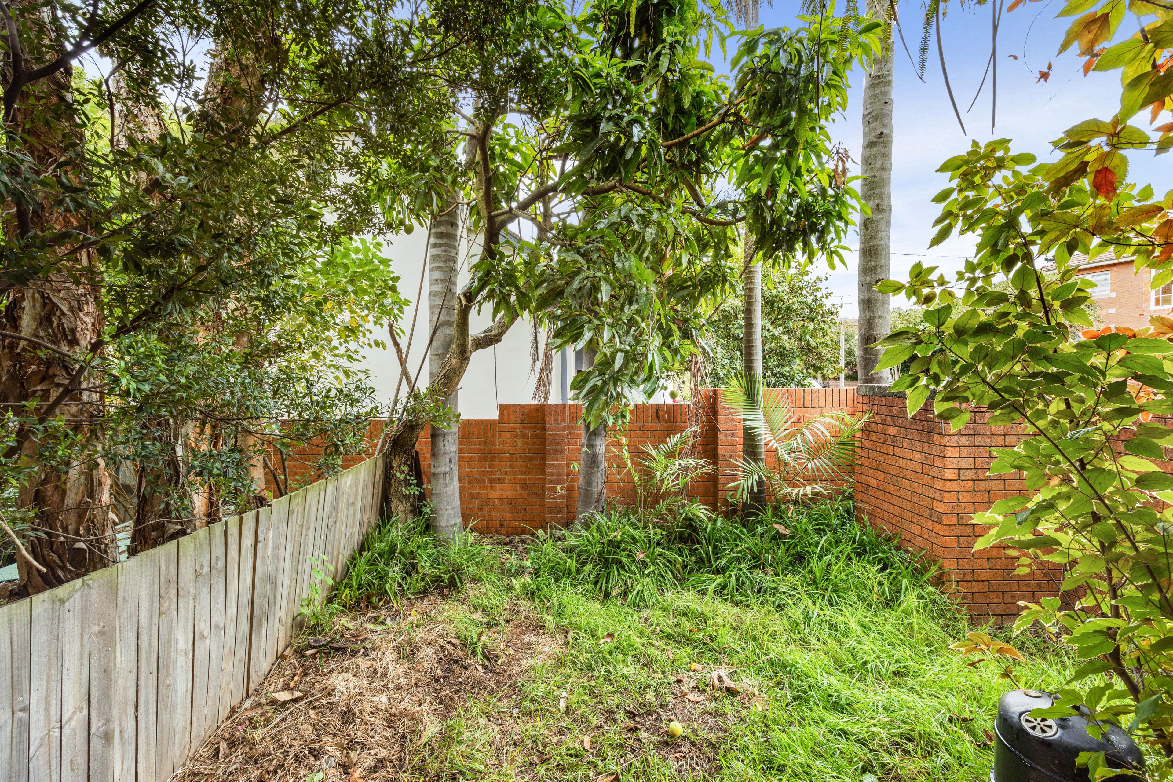 277 Wardell Road, Dulwich Hill NSW 2203, Dulwich Hill - Thumbnail 2