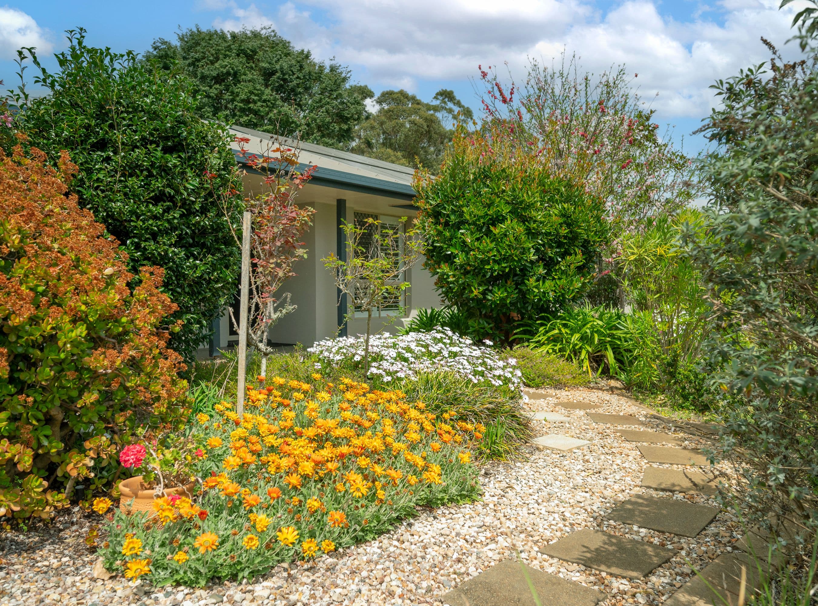 7 Bloodwood Street, Highfields QLD 4352, Highfields - Thumbnail 2