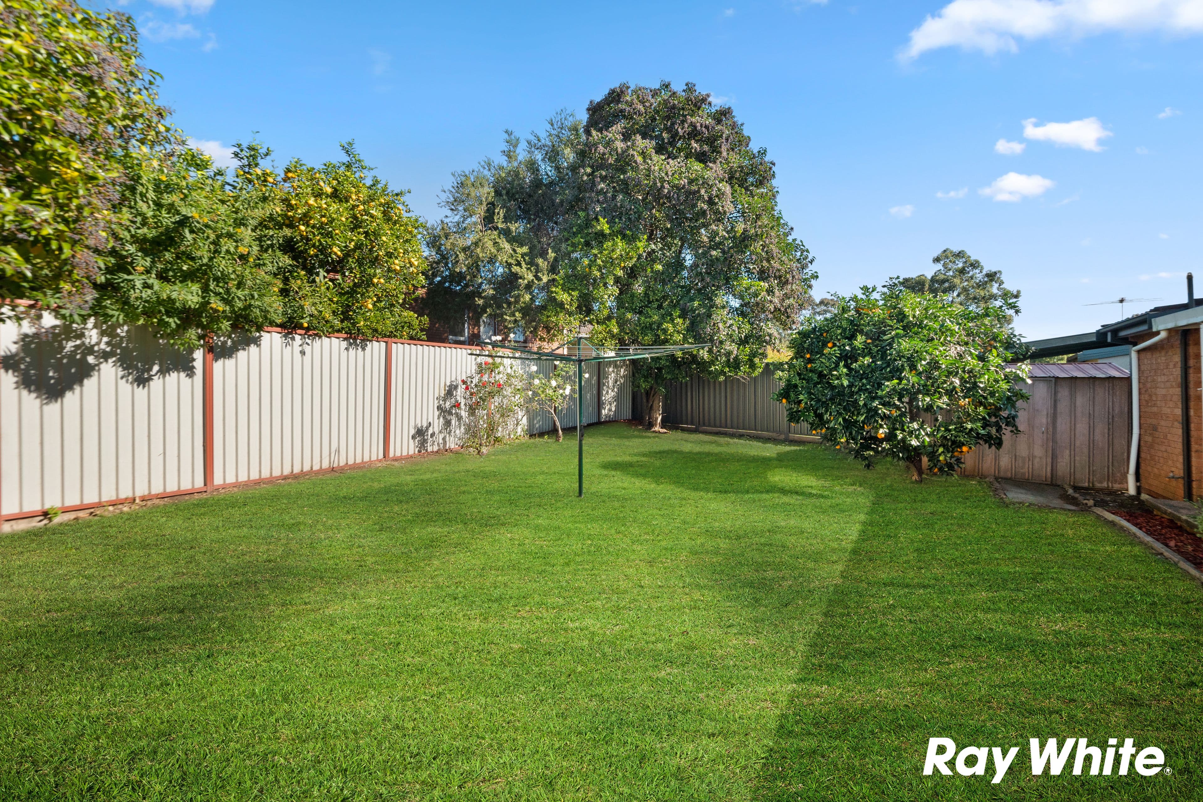 11 Kolodong Drive, Quakers Hill NSW 2763, Quakers Hill - Thumbnail 2