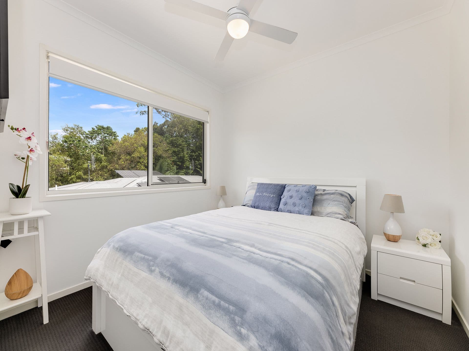 12 Macaranga Court, Palmwoods QLD 4555, Palmwoods - Thumbnail 6
