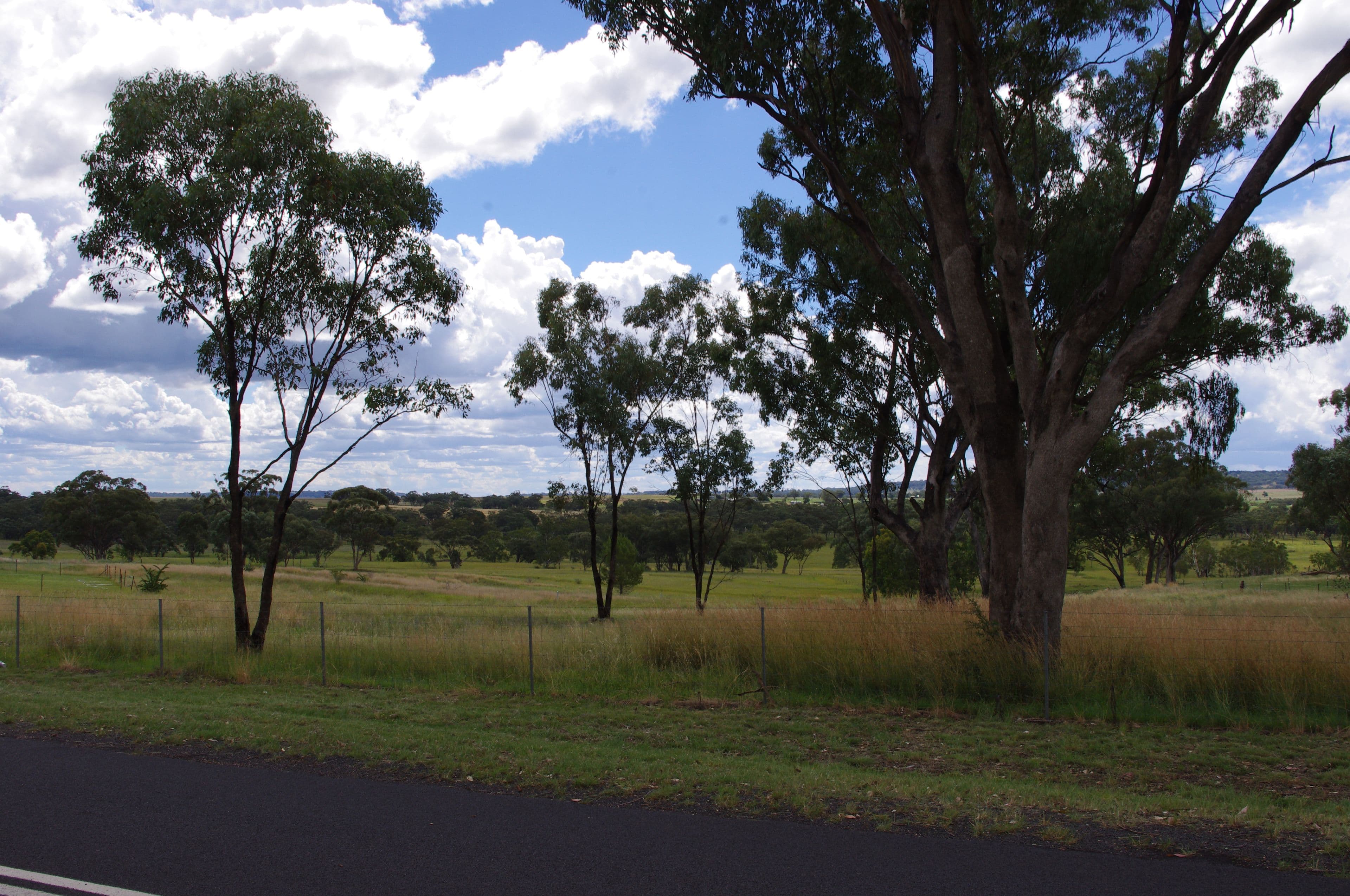 Lot 1 406 Old Bundarra Road, Inverell NSW 2360, Inverell - Thumbnail 2