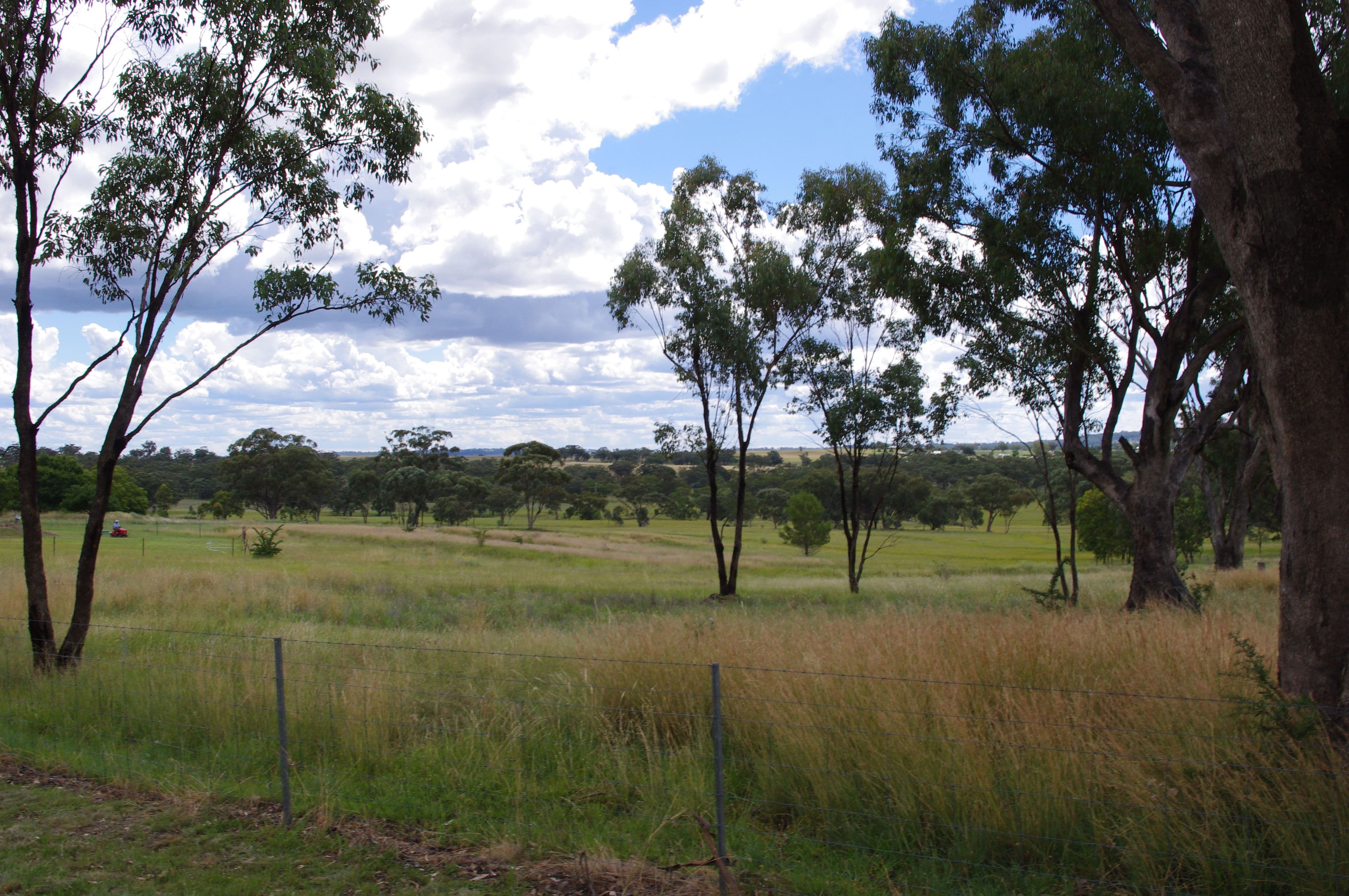 Lot 1 406 Old Bundarra Road, Inverell NSW 2360, Inverell - Thumbnail 3