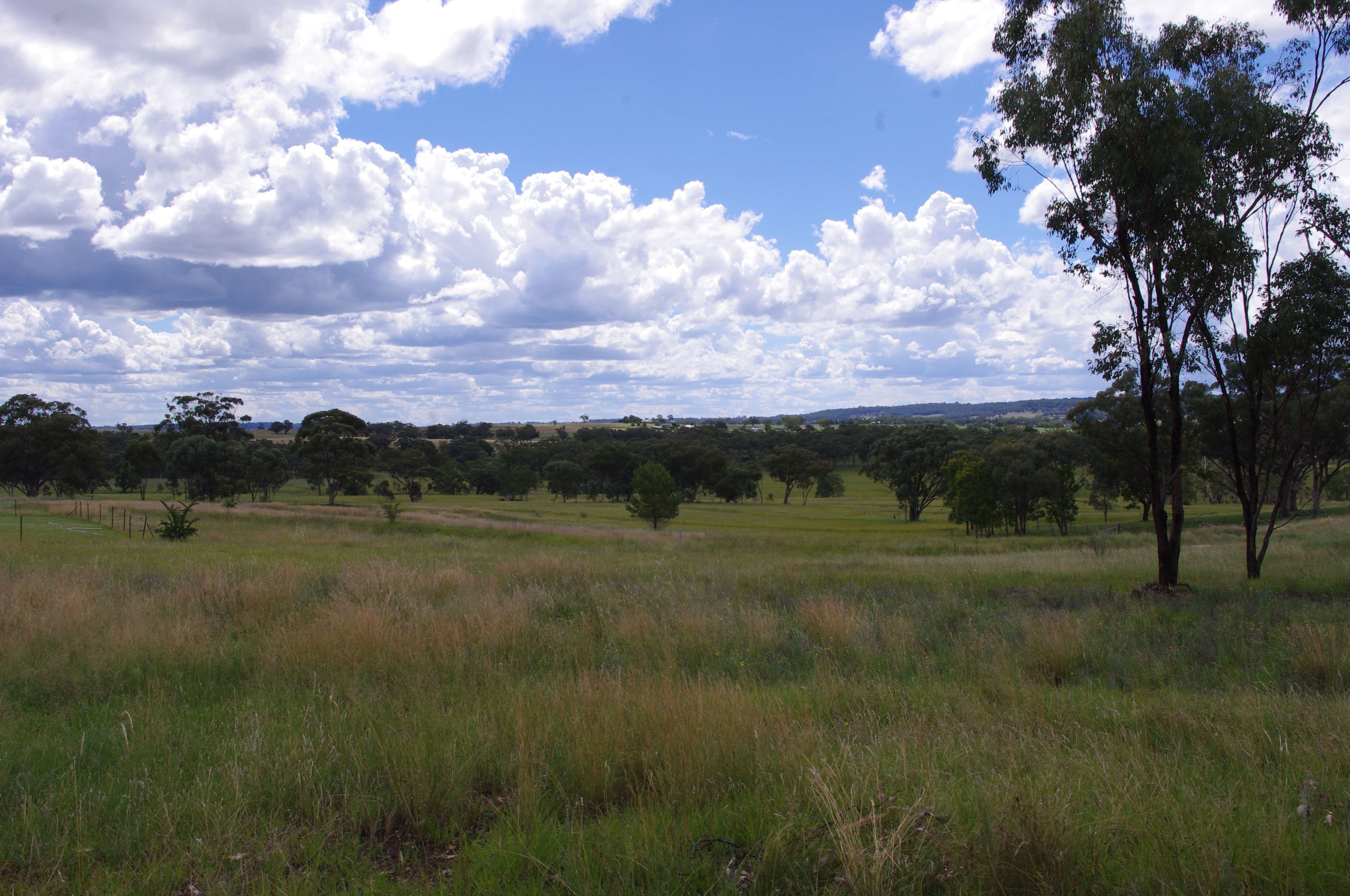 Lot 1 406 Old Bundarra Road, Inverell NSW 2360, Inverell - Thumbnail 4