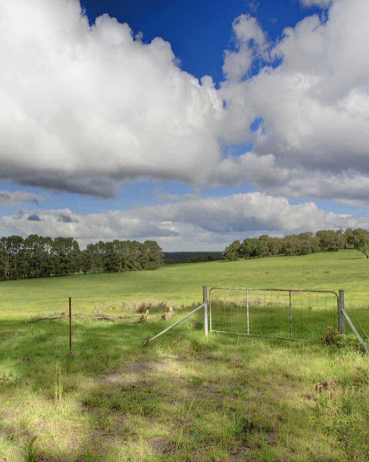 Lot 2 Bumballa Road Wingello, Wingello - Thumbnail 2