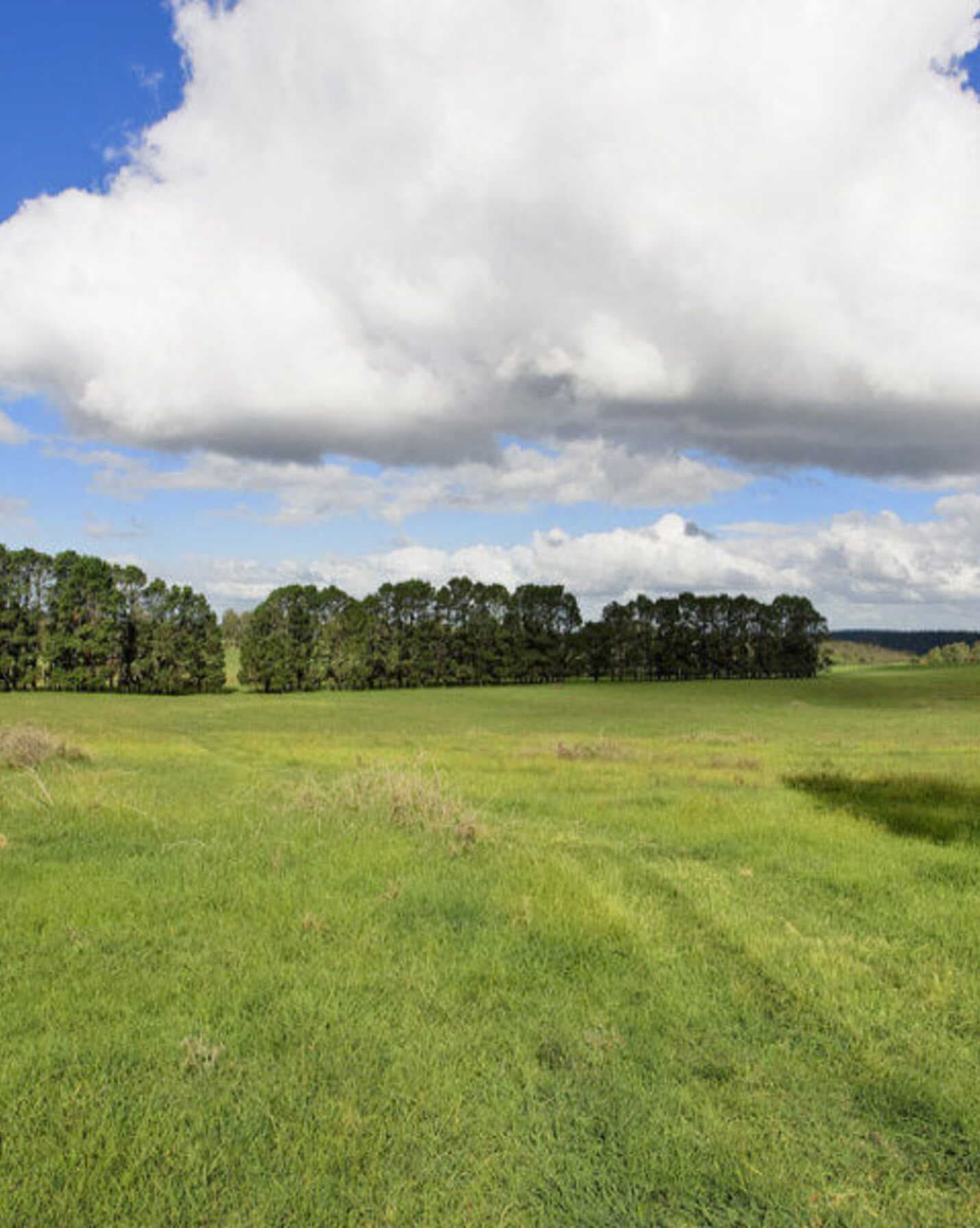 Lot 2 Bumballa Road Wingello, Wingello - Thumbnail 3