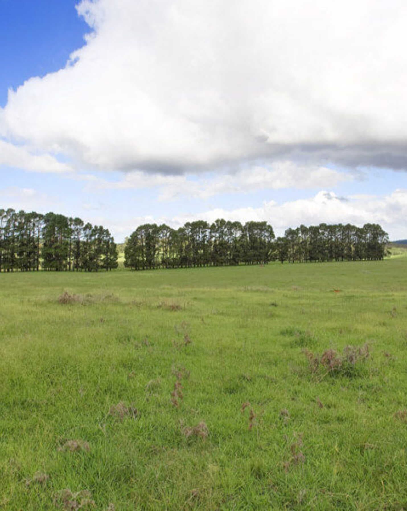 Lot 2 Bumballa Road Wingello, Wingello - Thumbnail 5