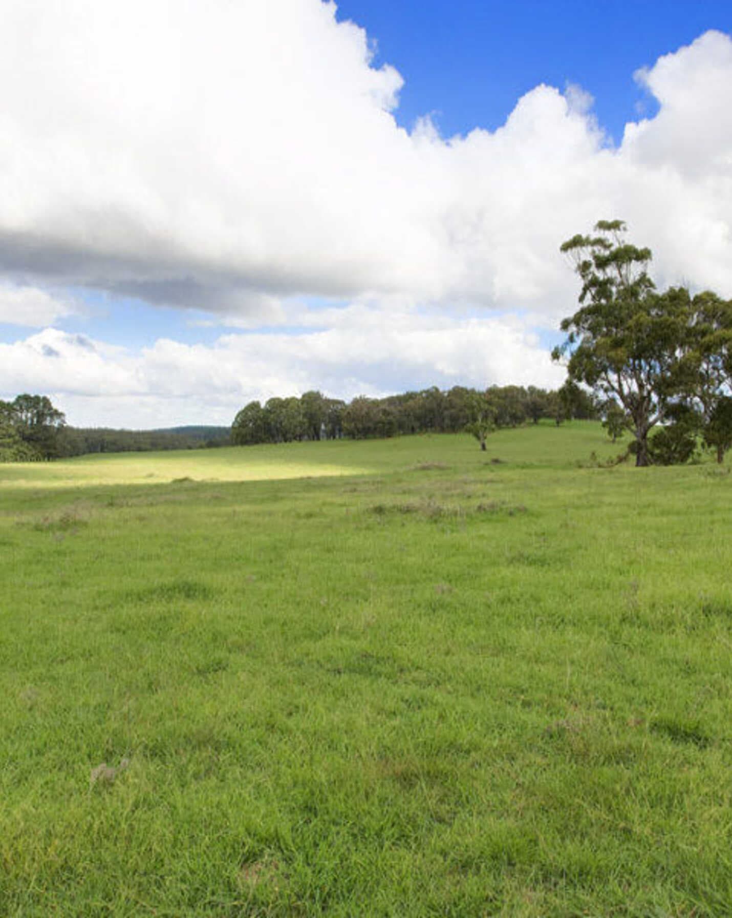 Lot 2 Bumballa Road Wingello, Wingello - Thumbnail 6