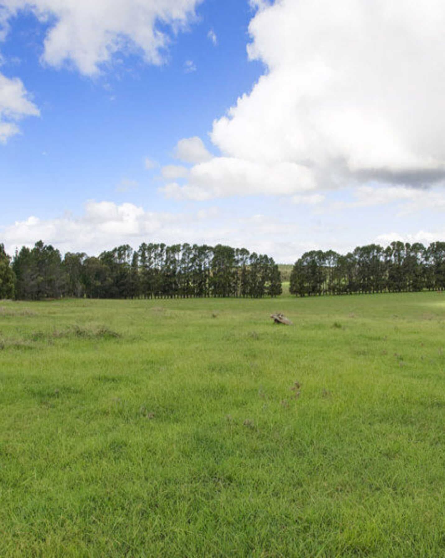 Lot 2 Bumballa Road Wingello, Wingello - Thumbnail 7
